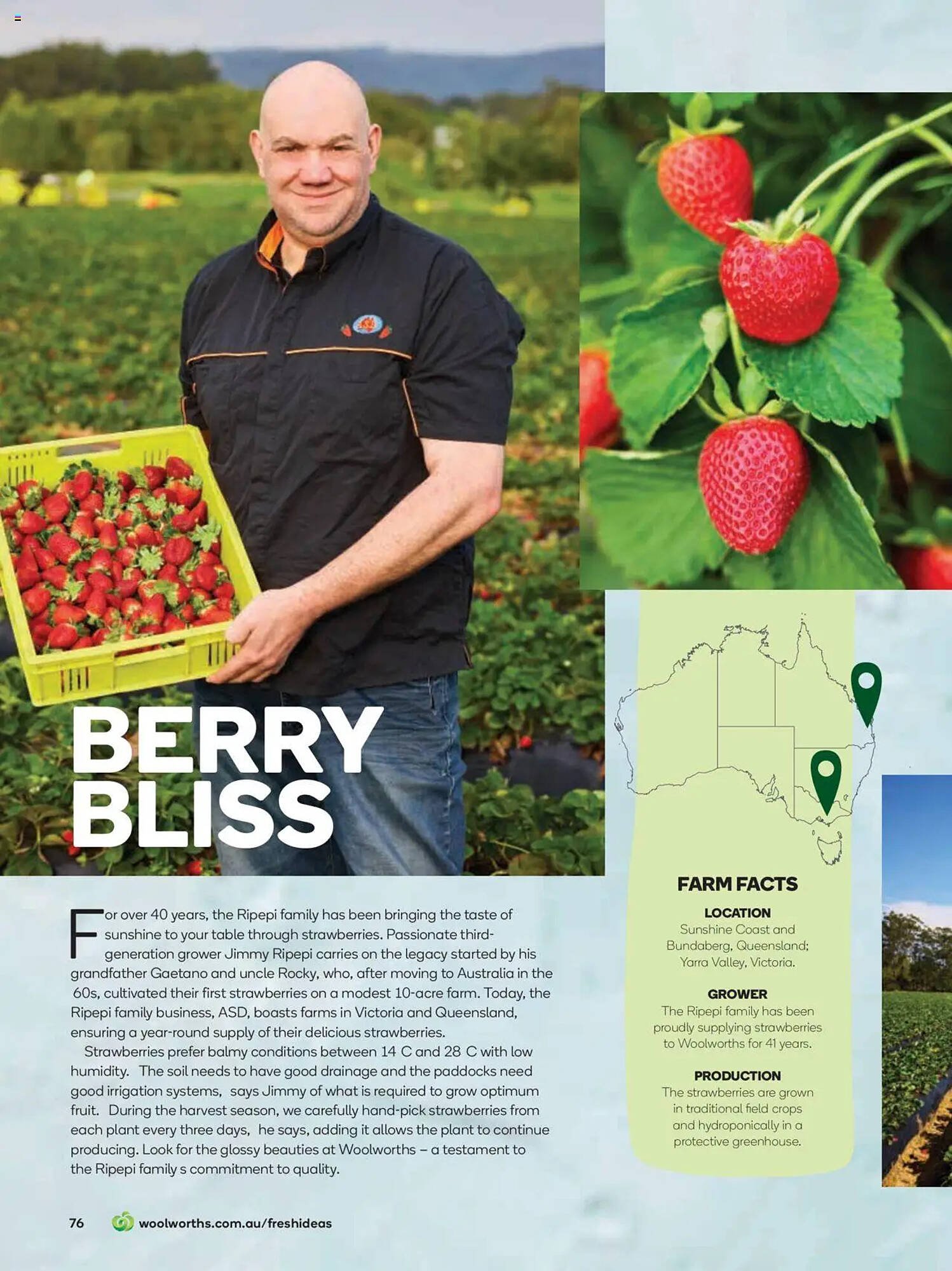Woolworths catalogue (2025-07-31 - 2025-08-31)