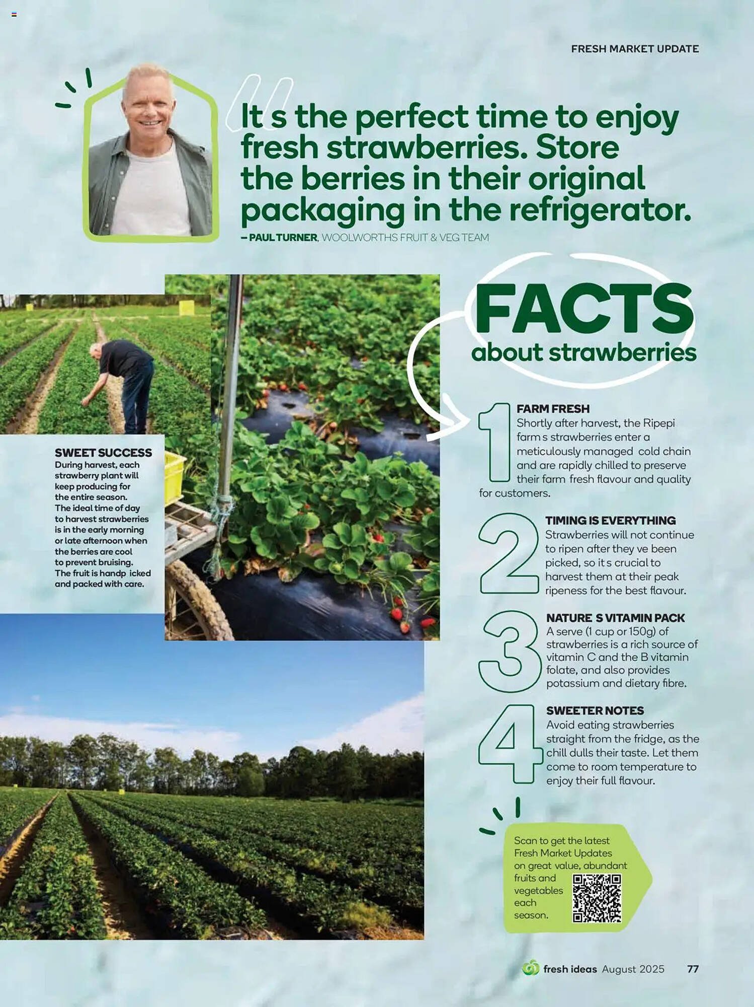 Woolworths catalogue (2025-07-31 - 2025-08-31)