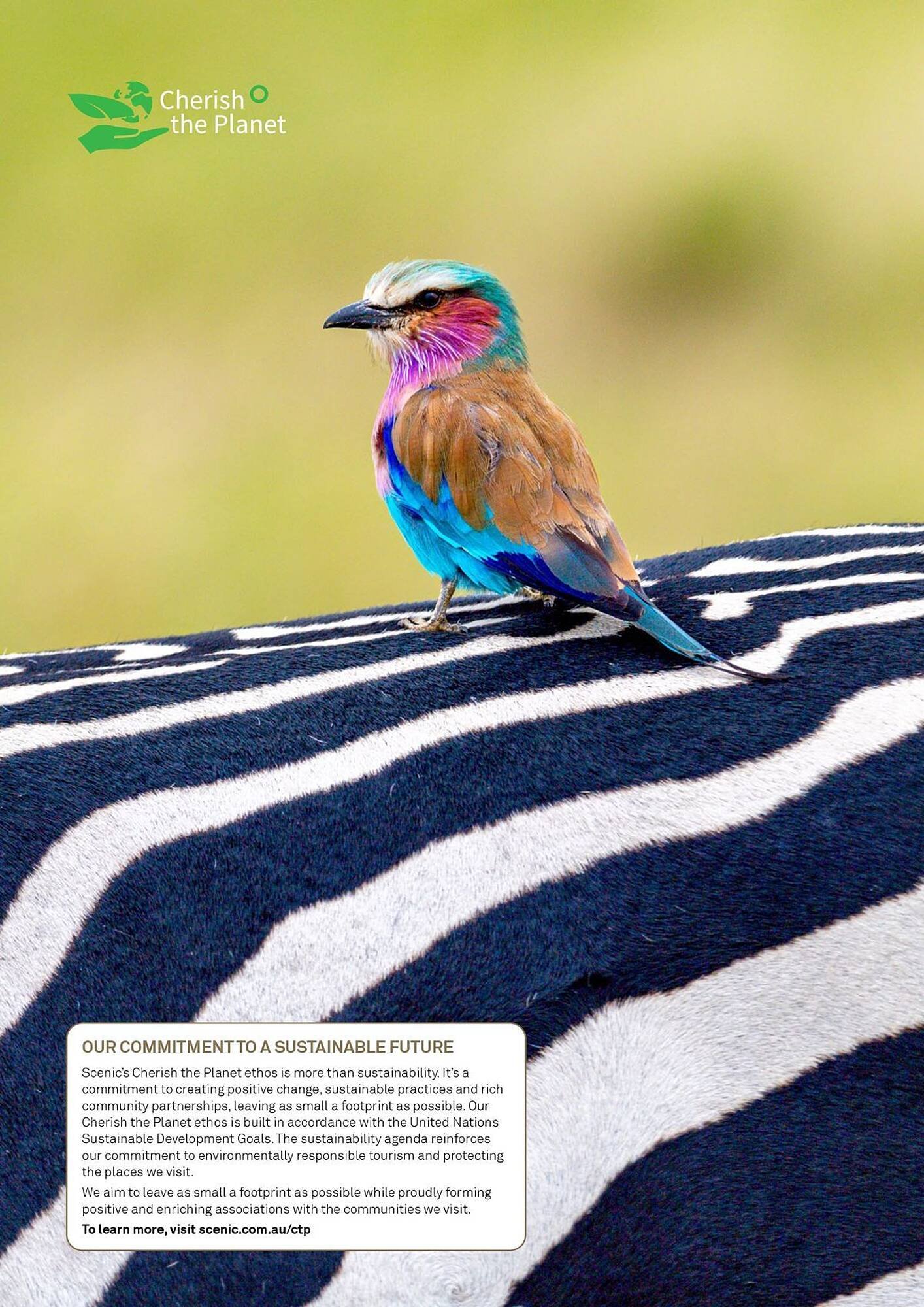 Flight Centre catalogue (2025-04-28 - 2025-12-31)