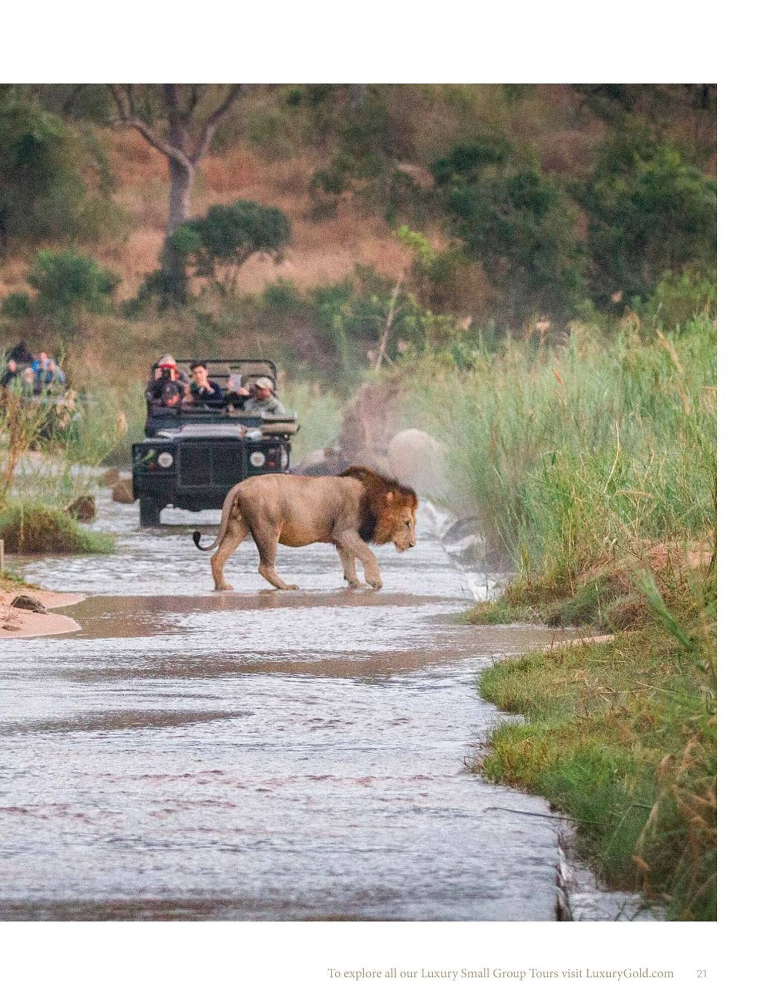 Flight Centre brochure (2026-02-26 - 2026-03-12) | 161