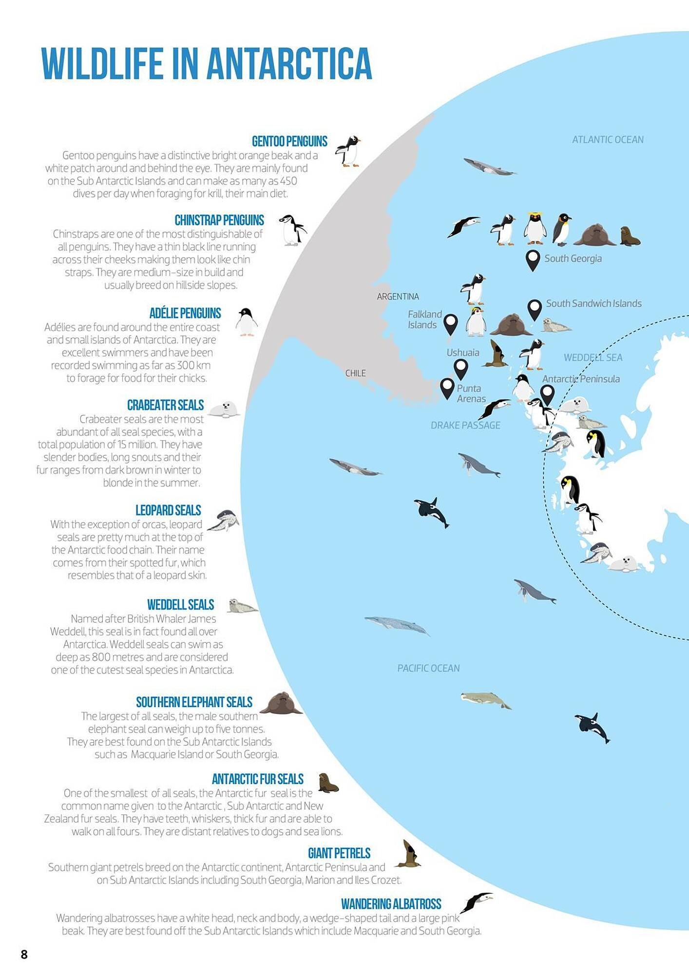 Flight Centre catalogue (2025-01-14 - 2025-12-31) | 8