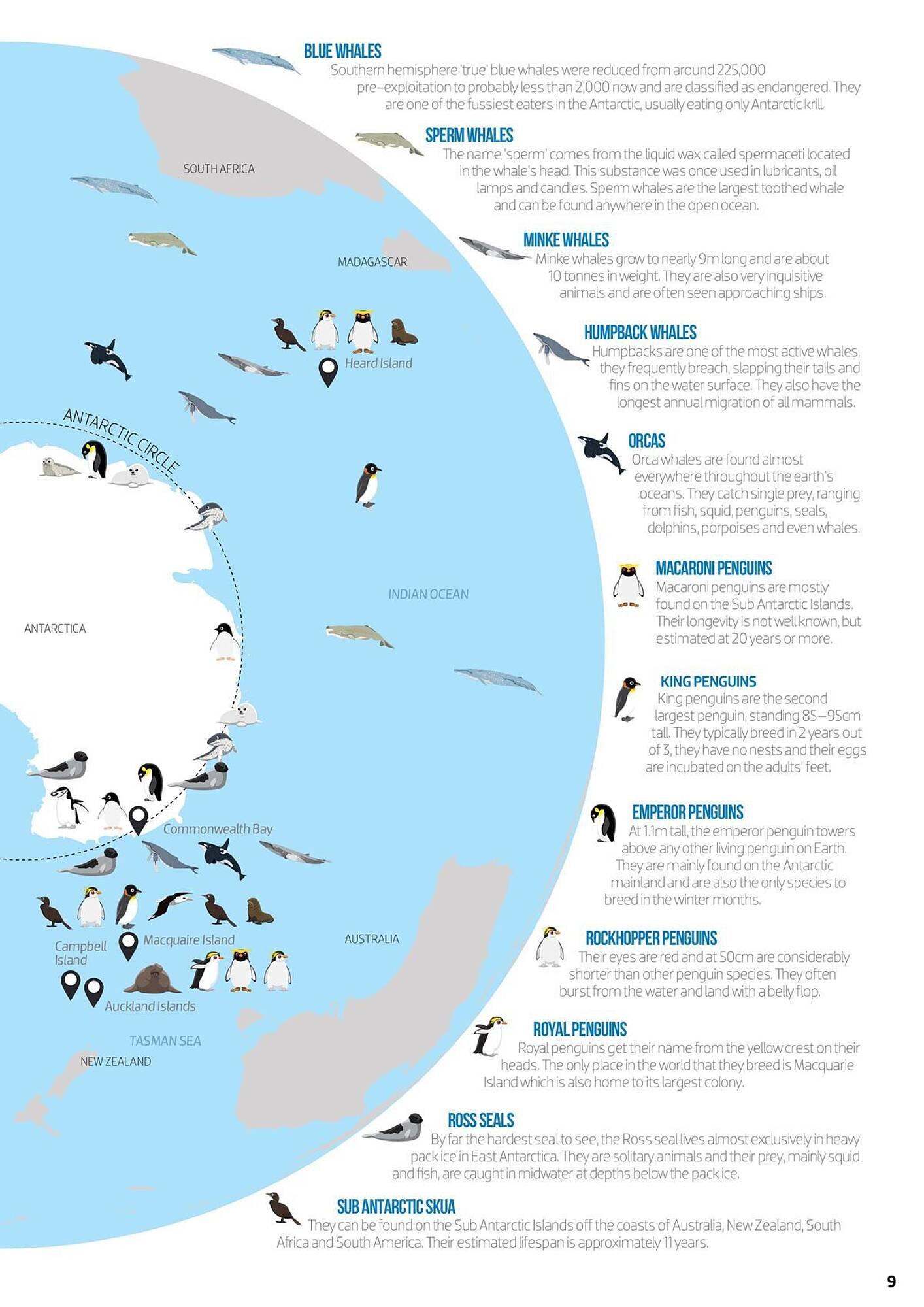 Flight Centre catalogue (2025-01-14 - 2025-12-31) | 9