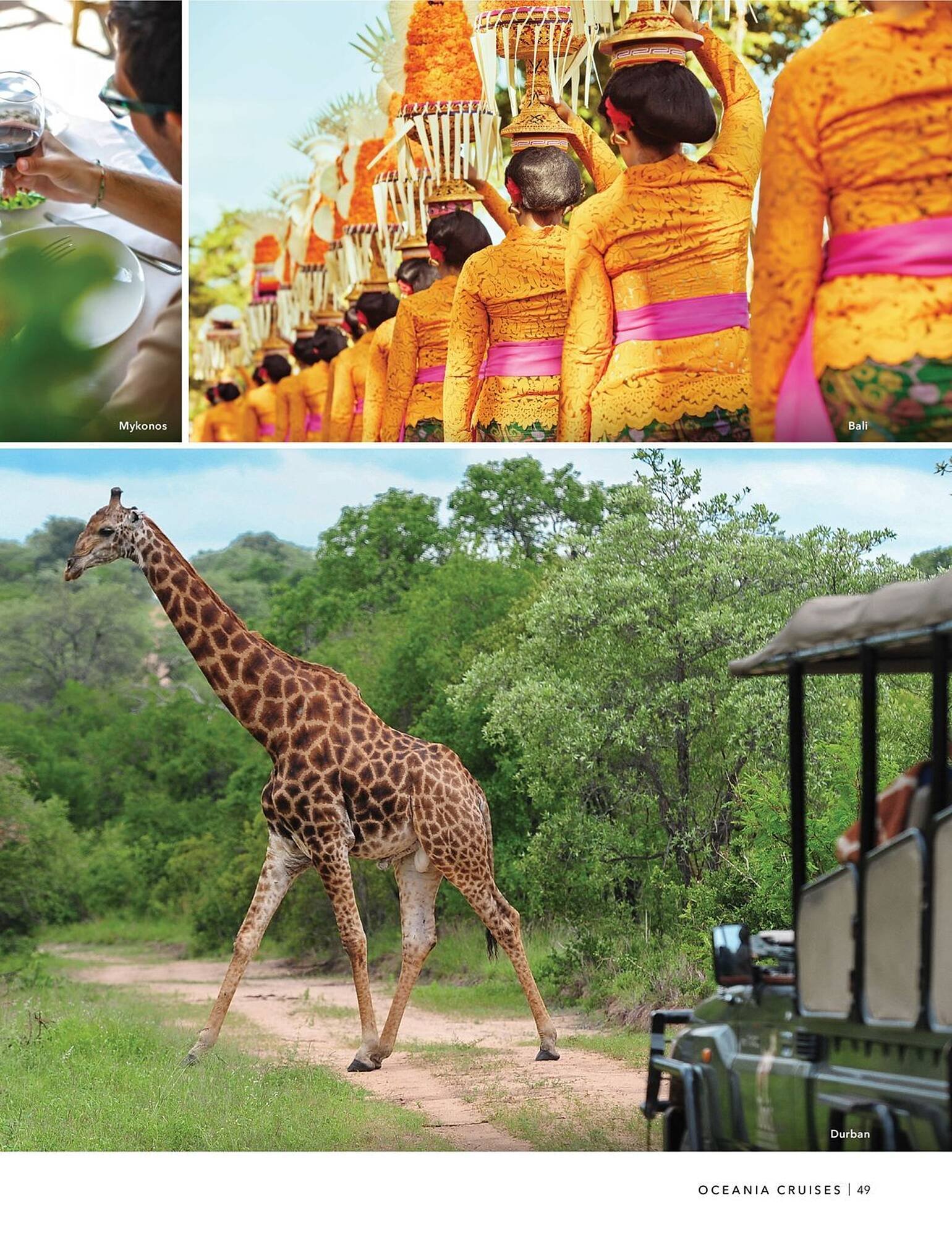 Flight Centre brochure (2025-10-22 - 2025-11-05) | 51