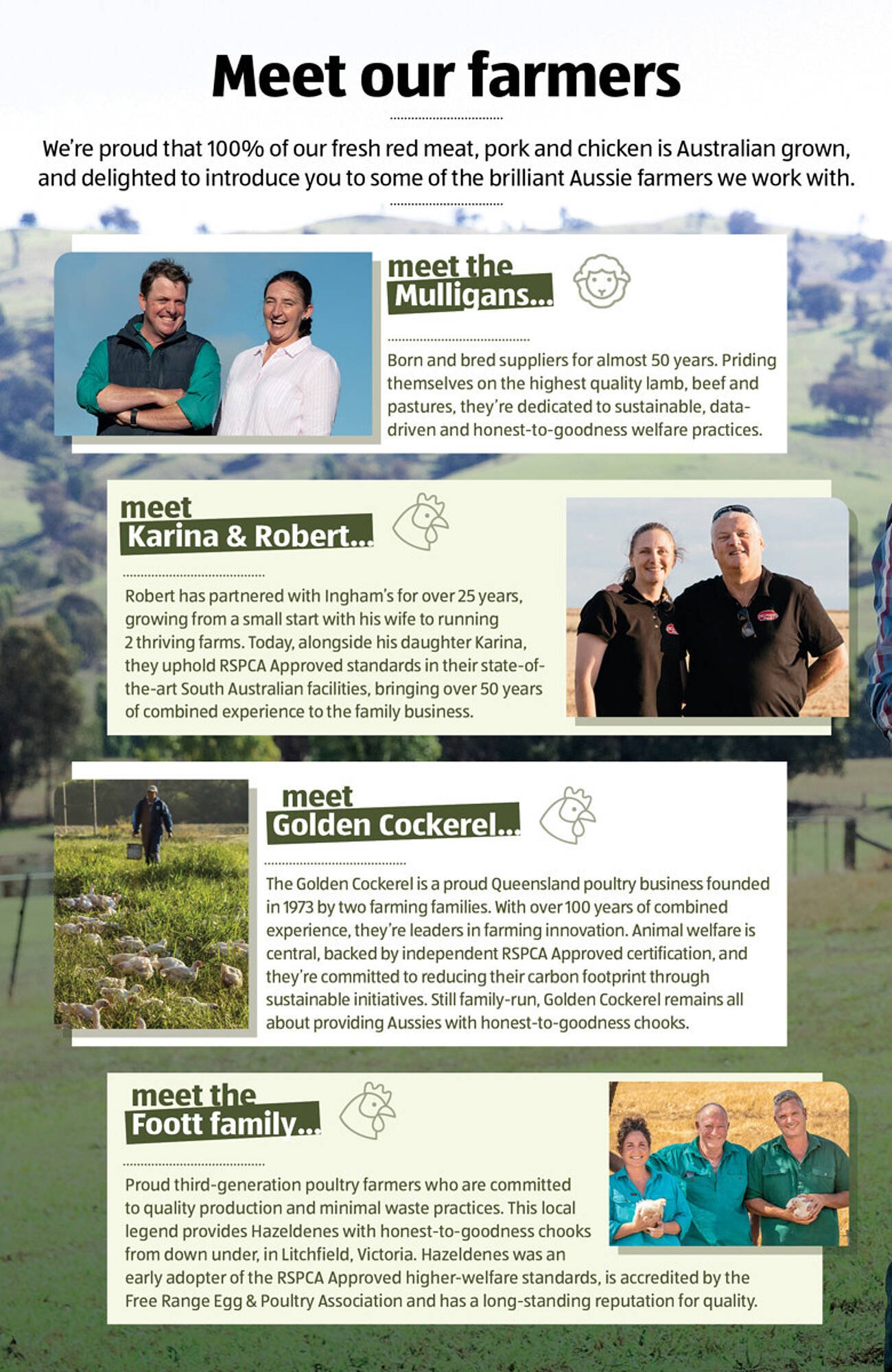 ALDI catalogue (2025-11-13 - 2025-11-19) | 3