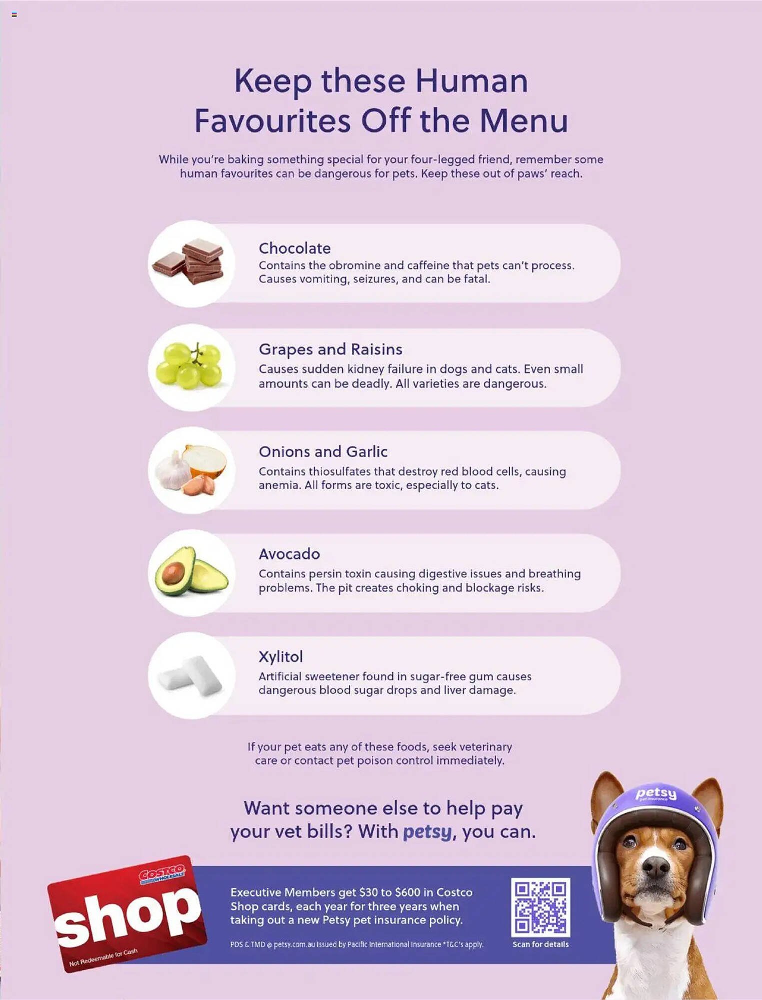 Costco catalogue (2025-10-31 - 2025-12-31) | 117