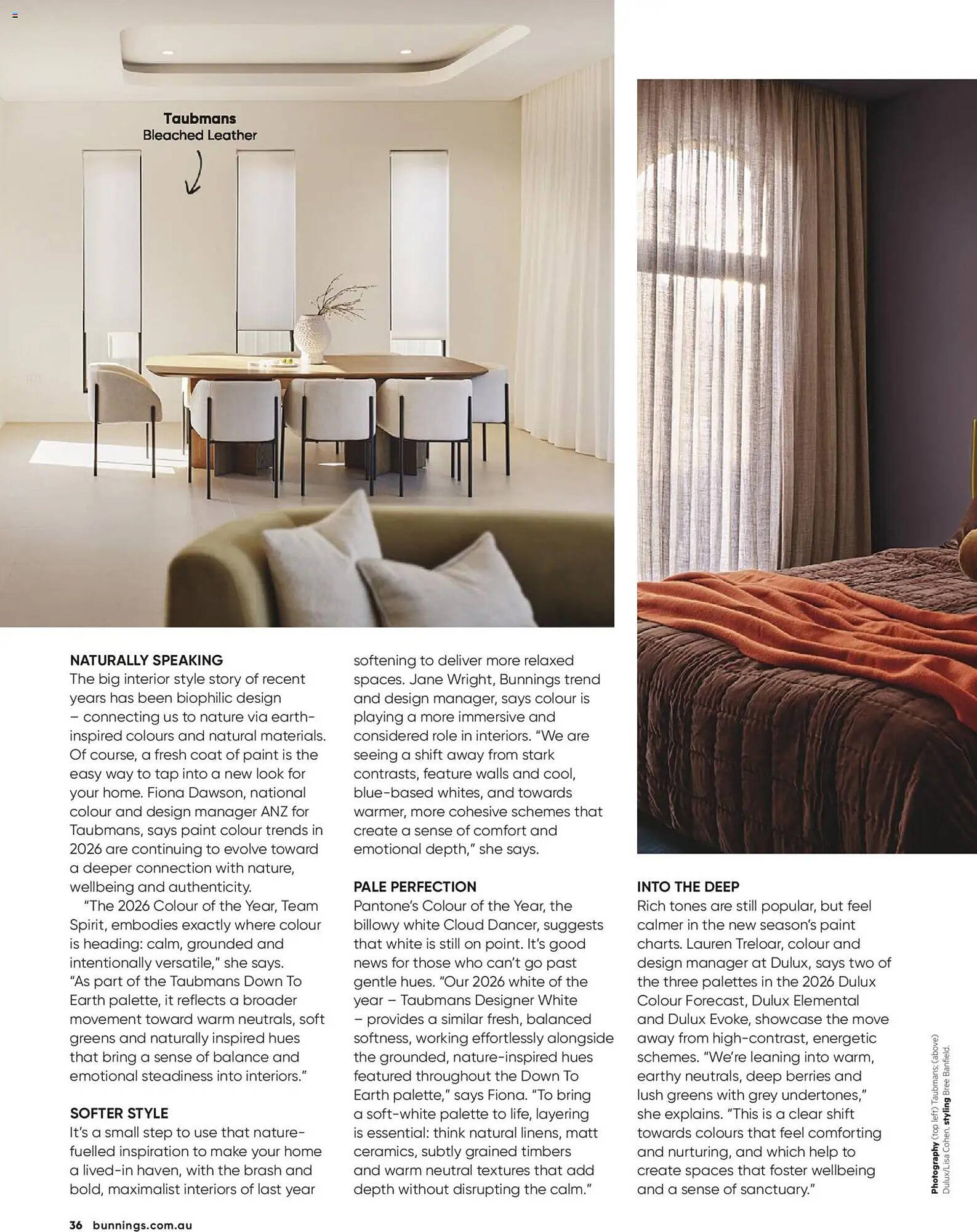 Bunnings catalogue (2026-02-28 - 2026-03-31) | 36