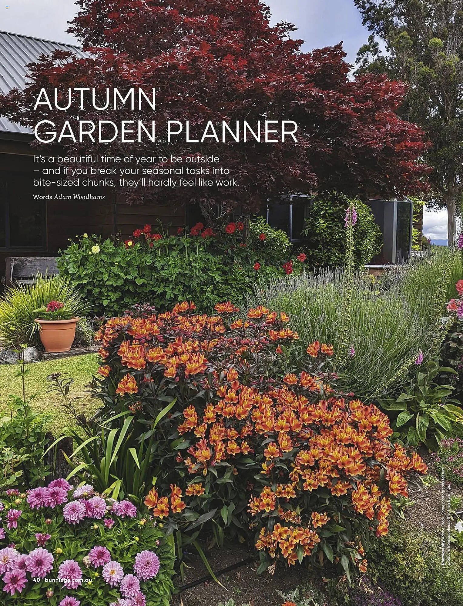 Bunnings catalogue (2026-02-28 - 2026-03-31) | 40