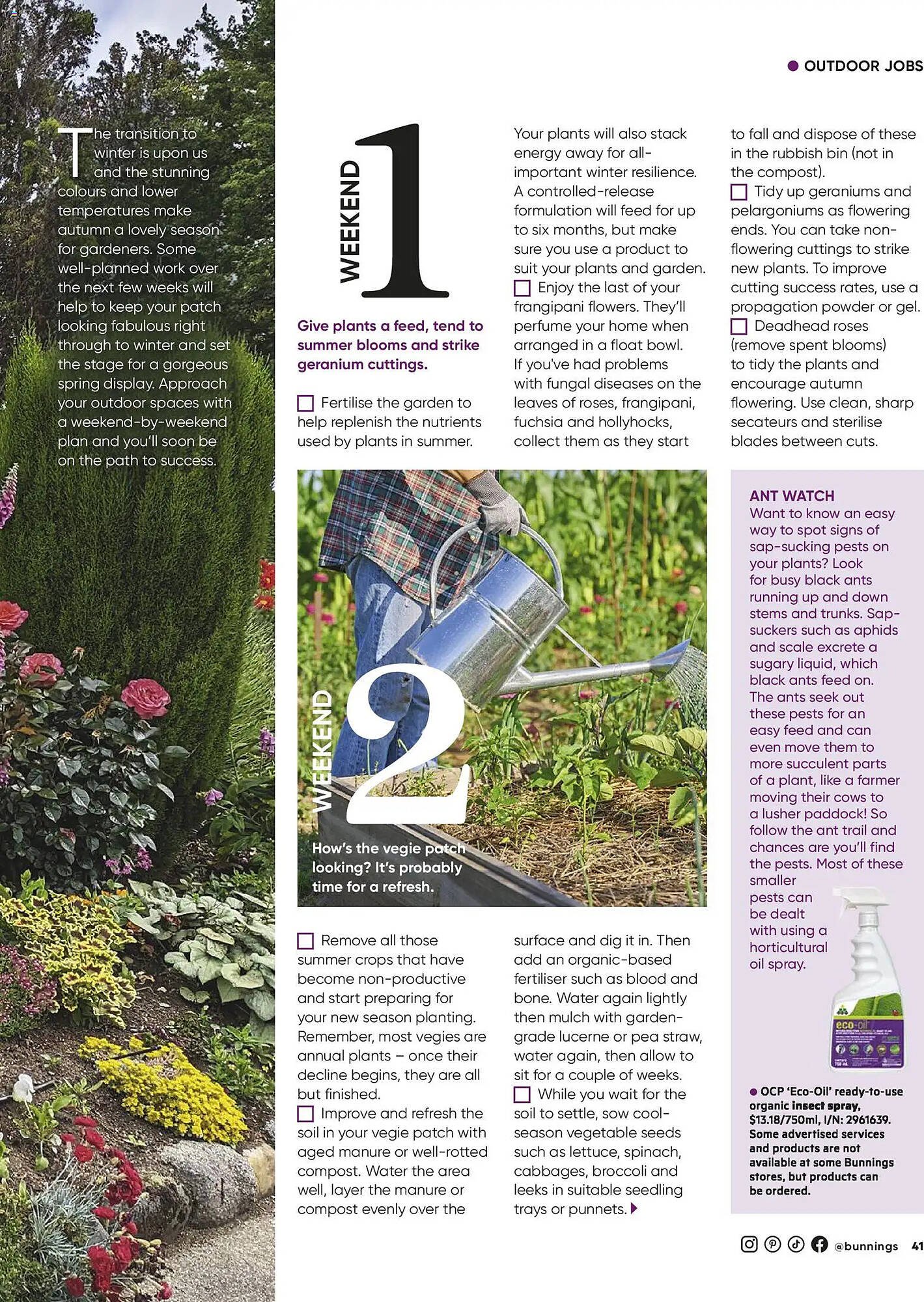 Bunnings catalogue (2026-02-28 - 2026-03-31) | 41