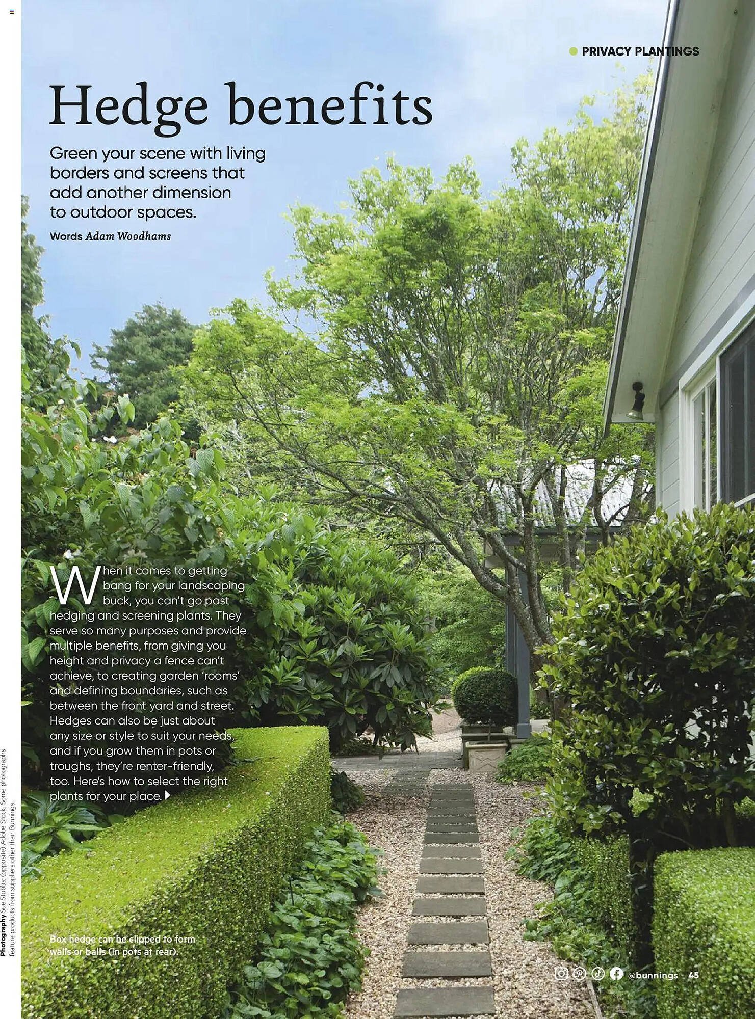 Bunnings catalogue (2026-02-28 - 2026-03-31) | 45