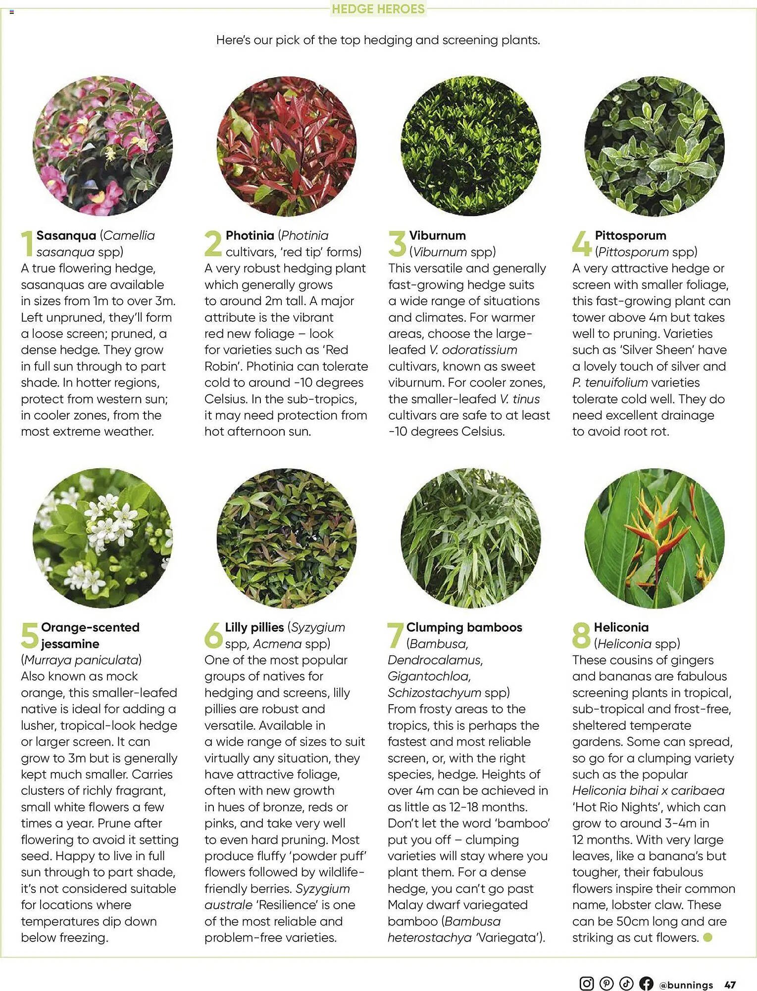 Bunnings catalogue (2026-02-28 - 2026-03-31) | 47