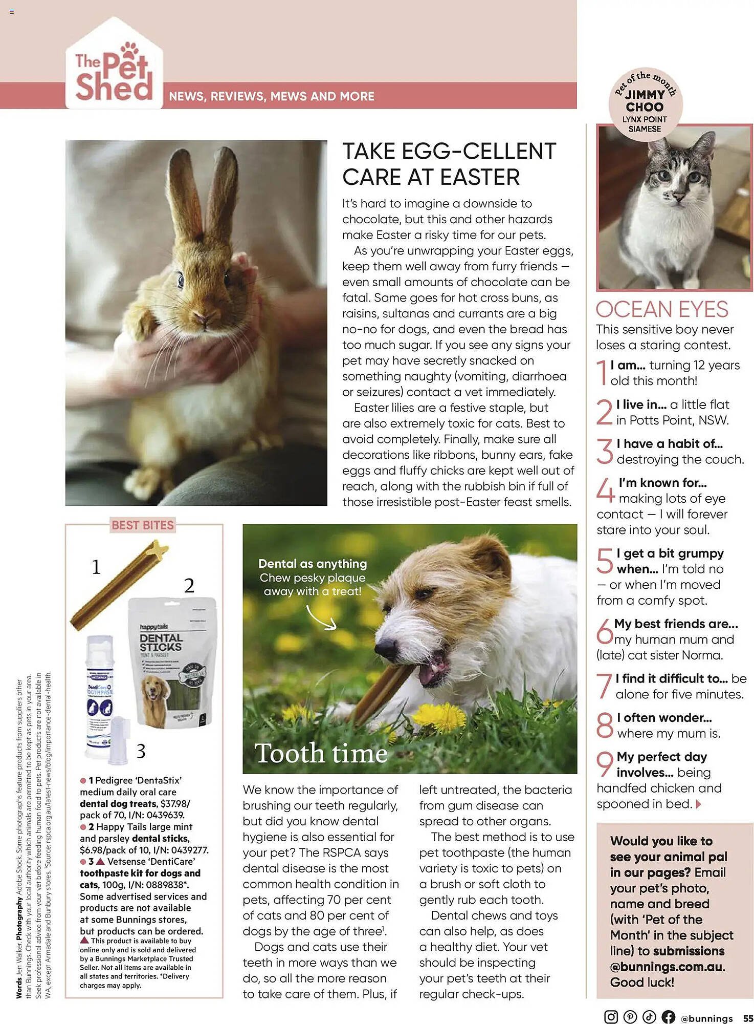 Bunnings catalogue (2026-02-28 - 2026-03-31) | 55