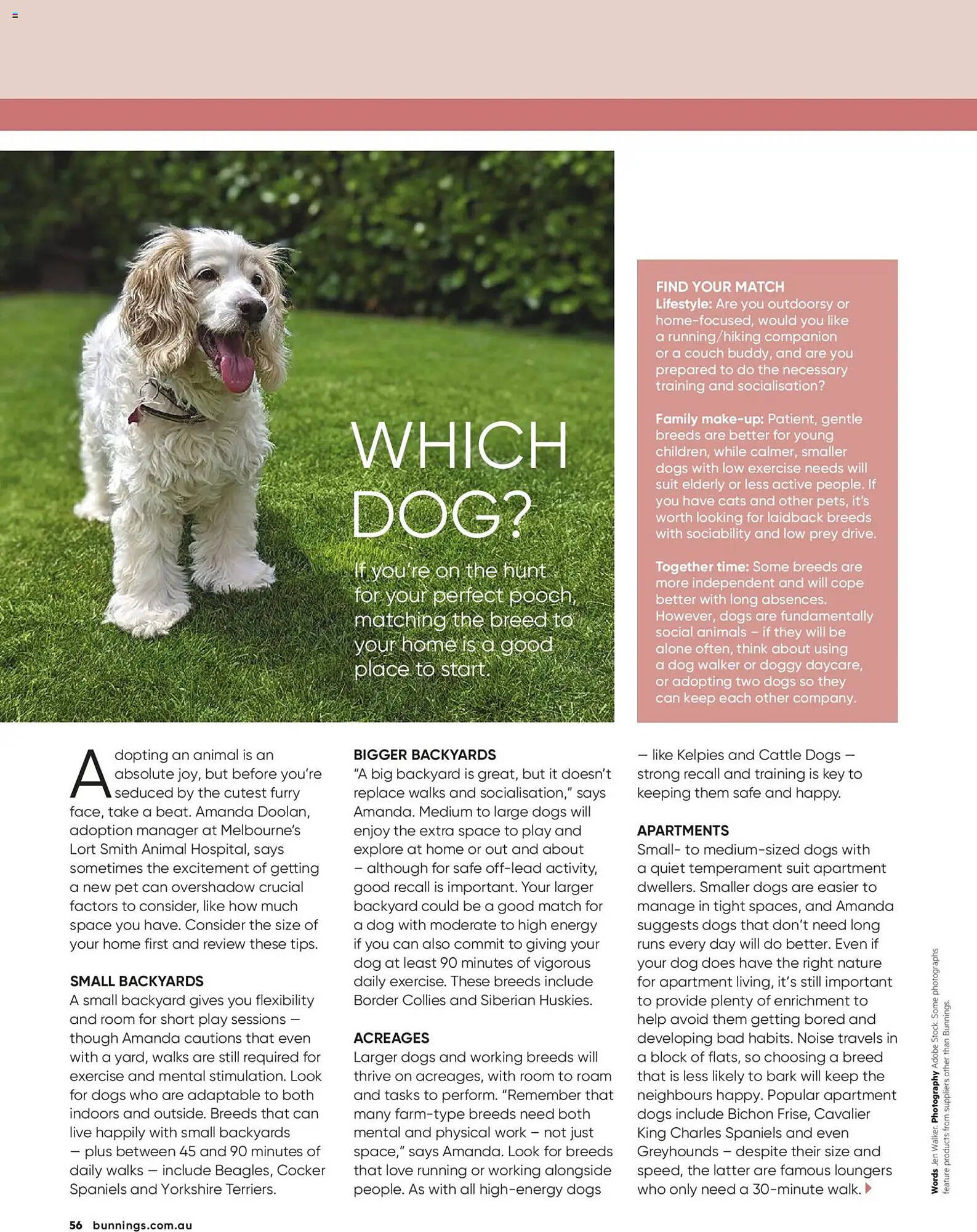 Bunnings catalogue (2026-02-28 - 2026-03-31) | 56