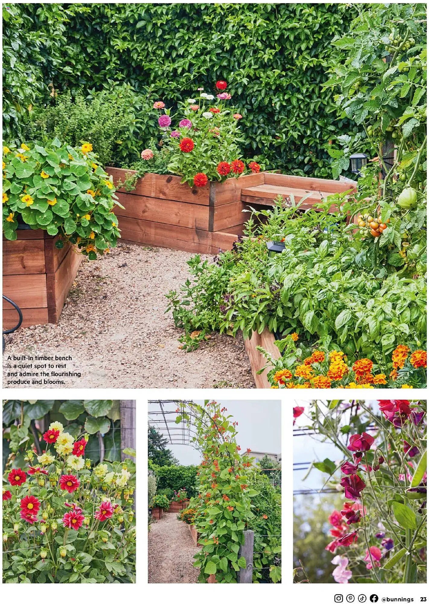 Bunnings catalogue (2025-09-30 - 2025-10-31) | 23