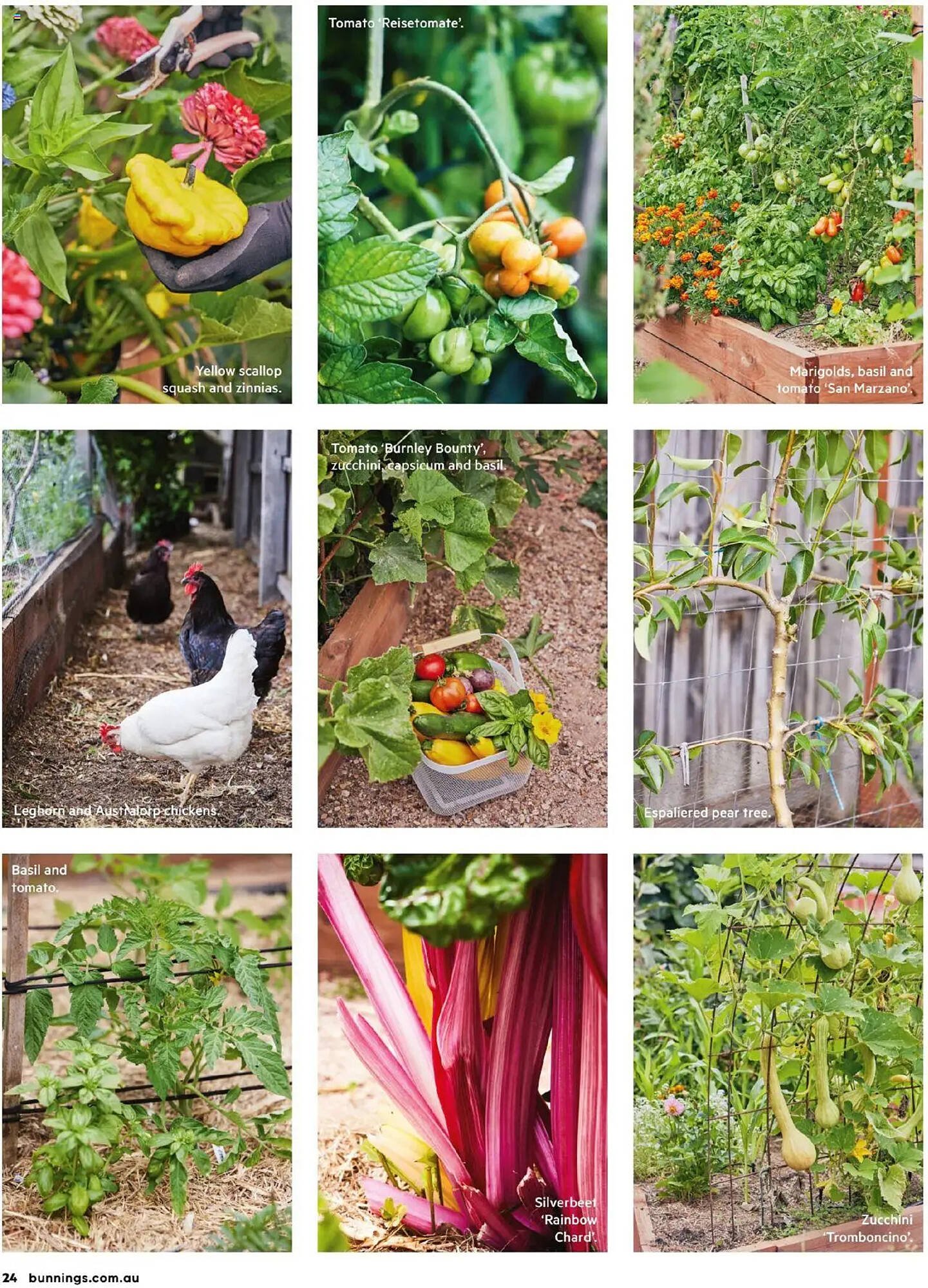 Bunnings catalogue (2025-09-30 - 2025-10-31) | 24