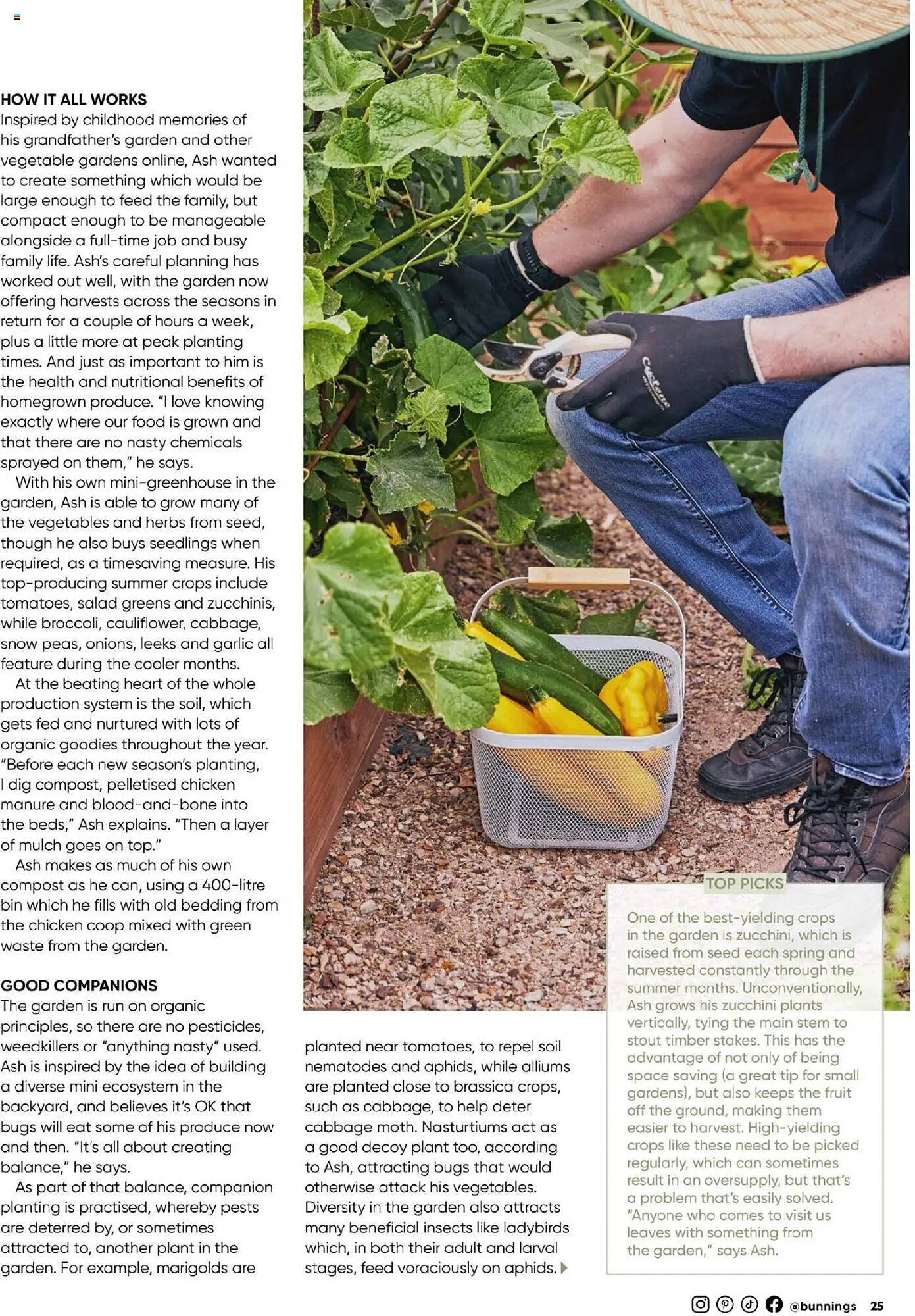 Bunnings catalogue (2025-09-30 - 2025-10-31) | 25