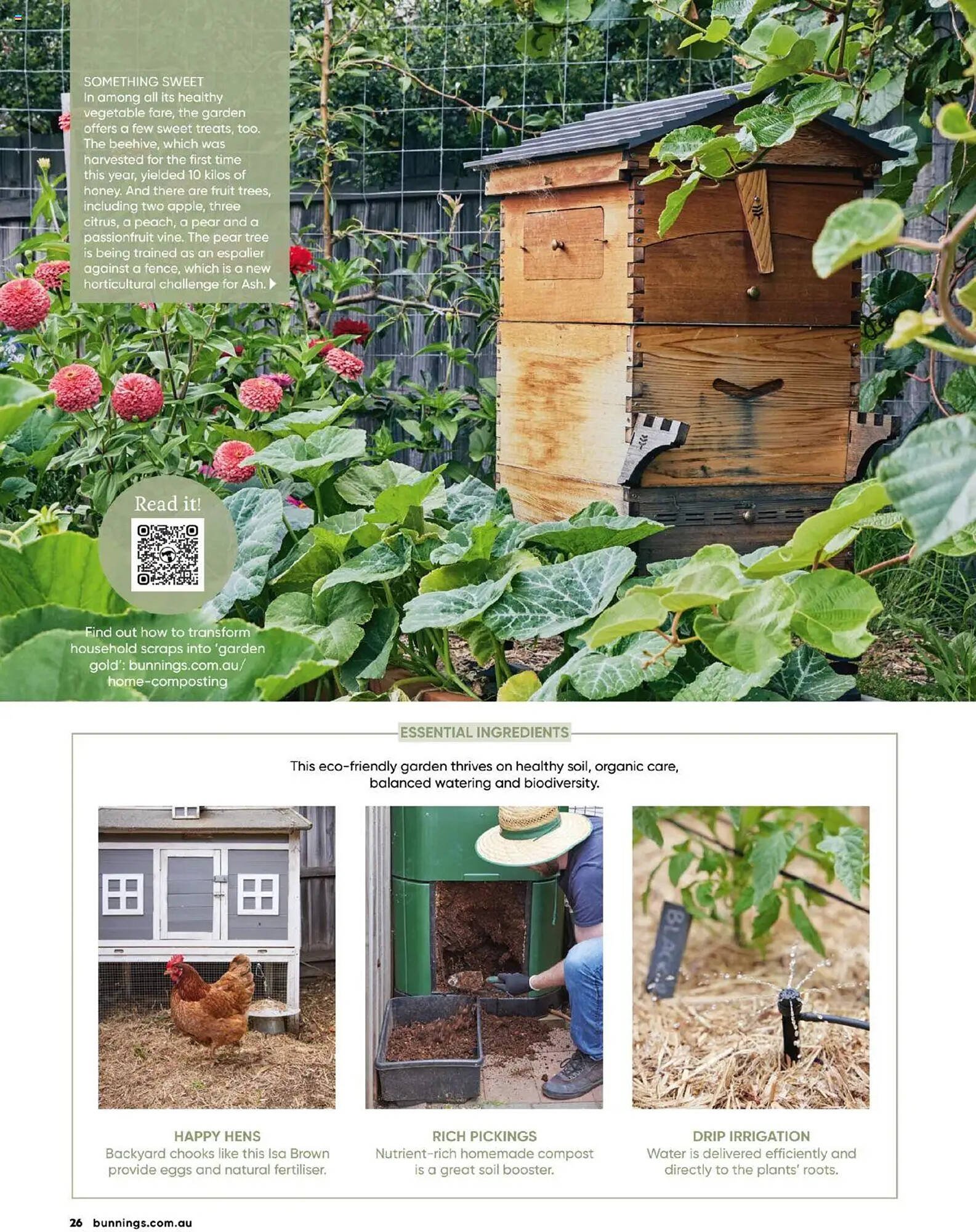 Bunnings catalogue (2025-09-30 - 2025-10-31) | 26