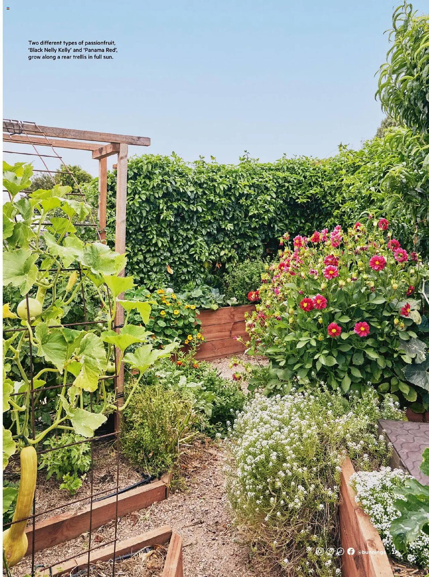 Bunnings catalogue (2025-09-30 - 2025-10-31) | 27