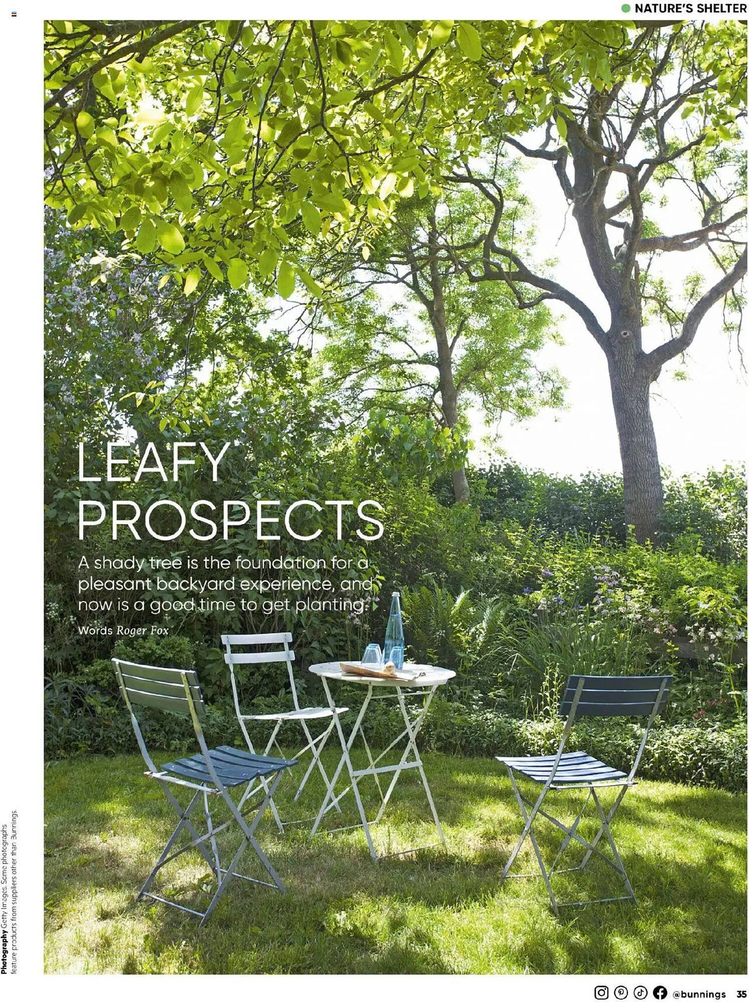 Bunnings catalogue (2025-09-30 - 2025-10-31) | 35