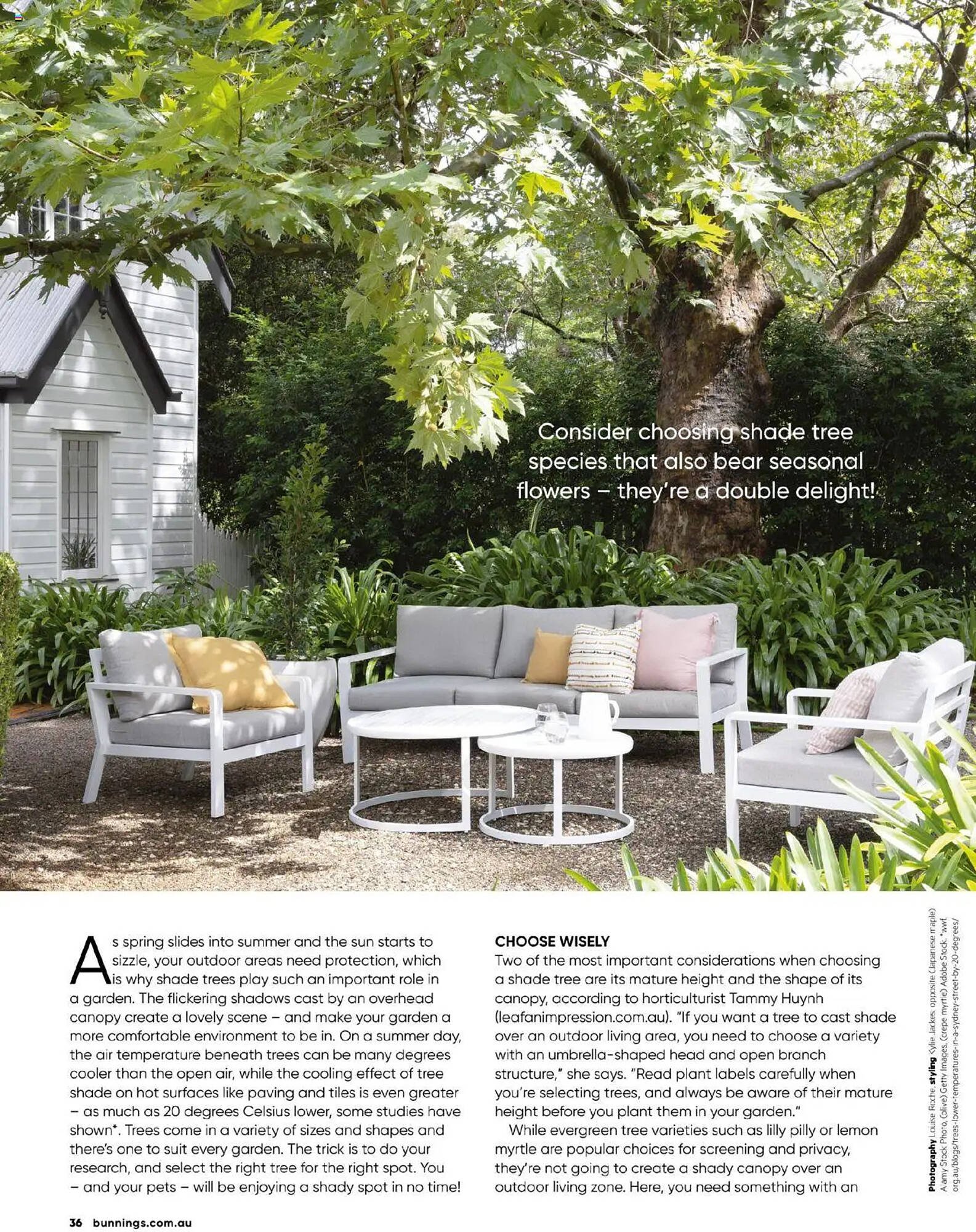 Bunnings catalogue (2025-09-30 - 2025-10-31) | 36