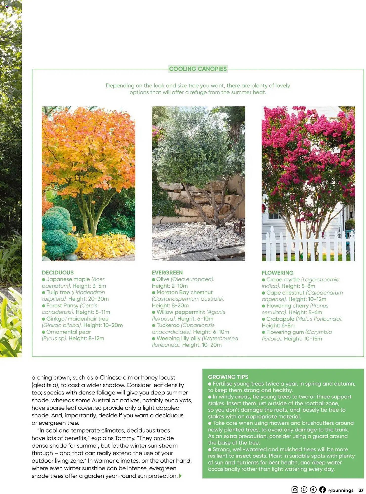 Bunnings catalogue (2025-09-30 - 2025-10-31) | 37