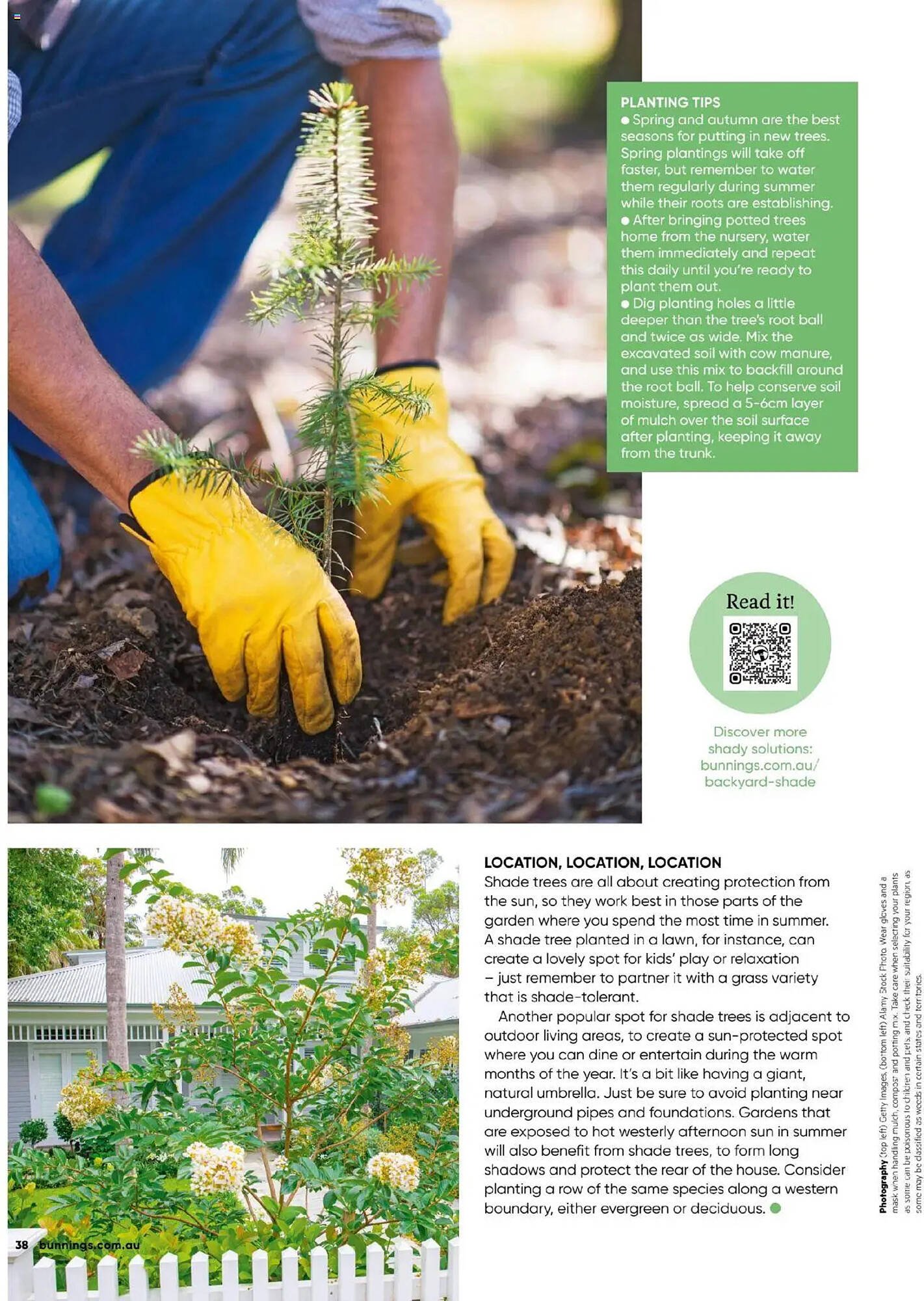 Bunnings catalogue (2025-09-30 - 2025-10-31) | 38