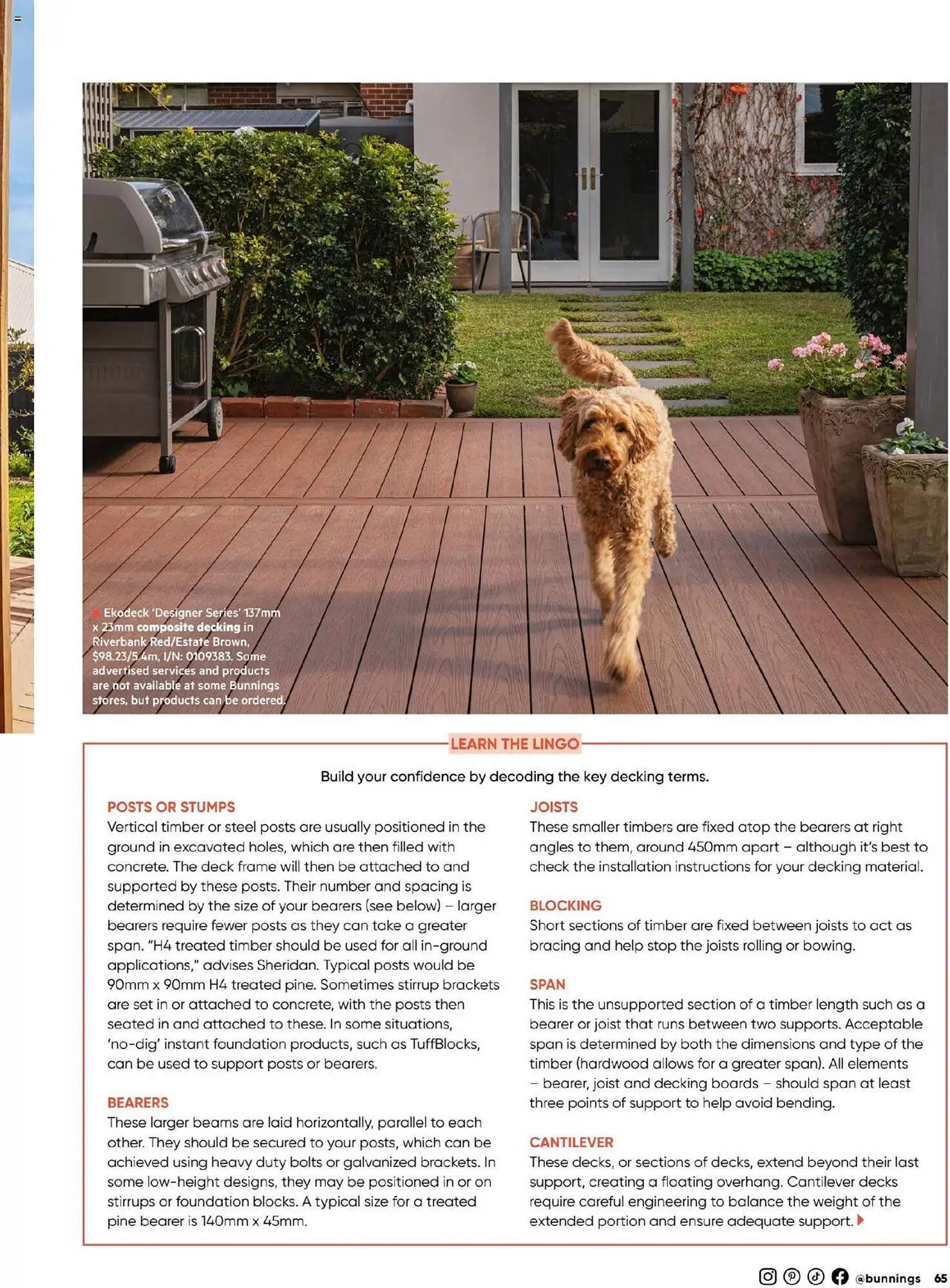 Bunnings catalogue (2025-09-30 - 2025-10-31) | 65