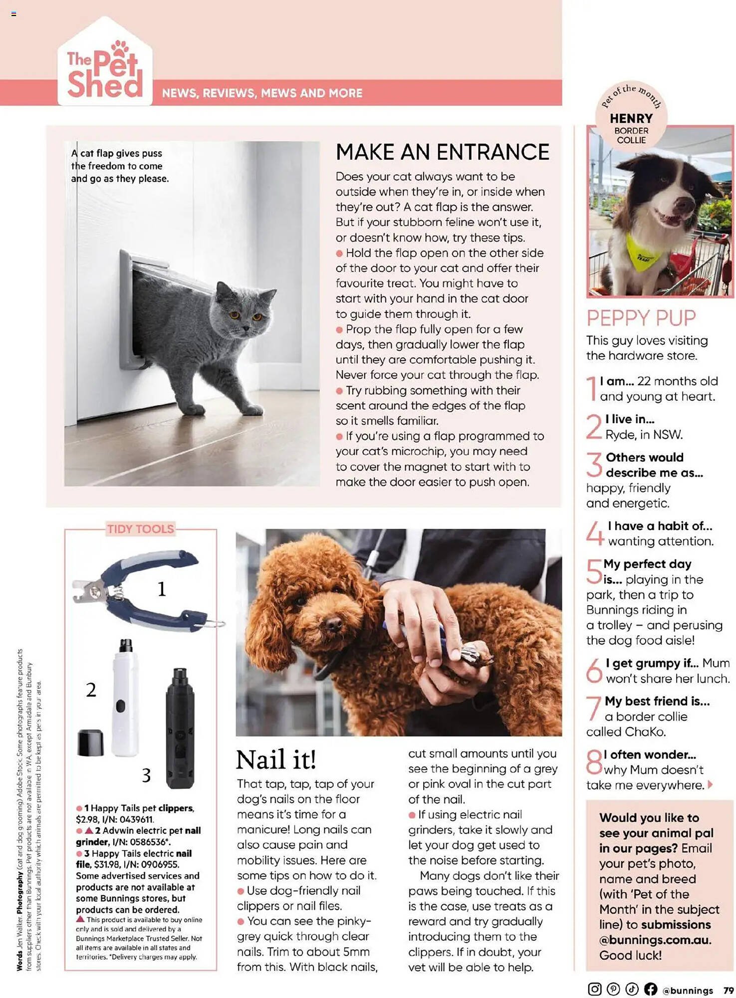 Bunnings catalogue (2025-09-30 - 2025-10-31) | 79