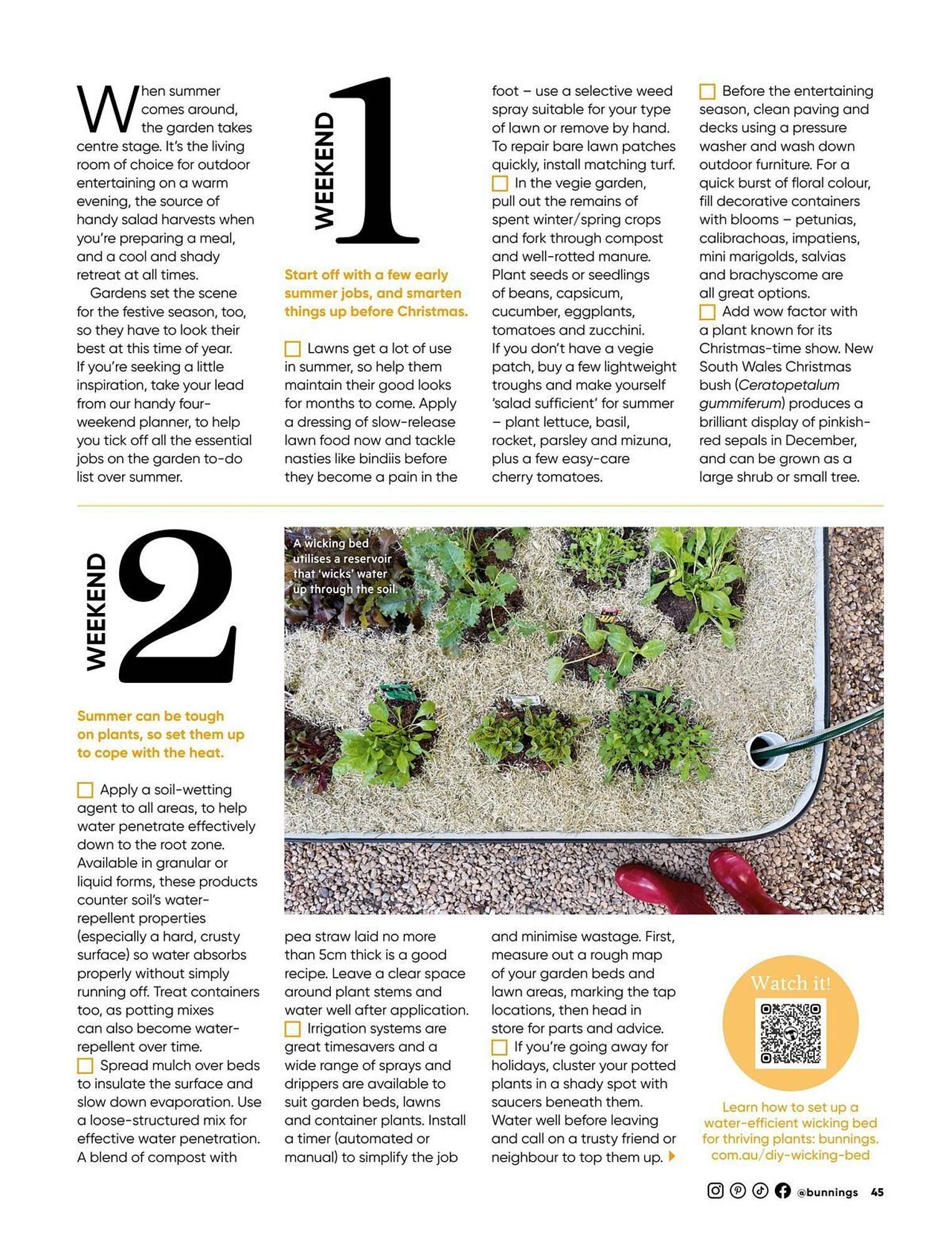 Bunnings catalogue (2025-12-01 - 2025-12-31) | 45