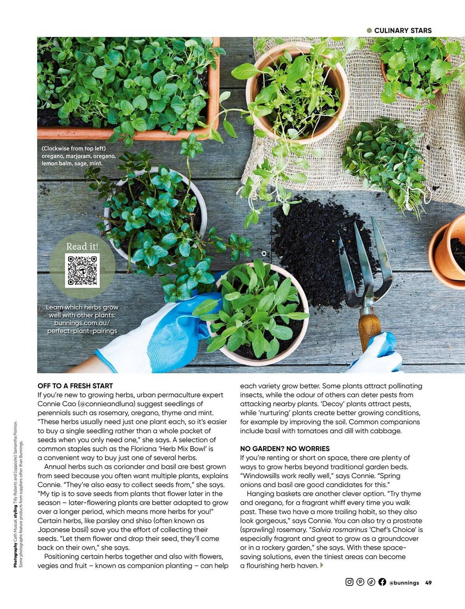 Bunnings catalogue (2025-12-01 - 2025-12-31) | 49