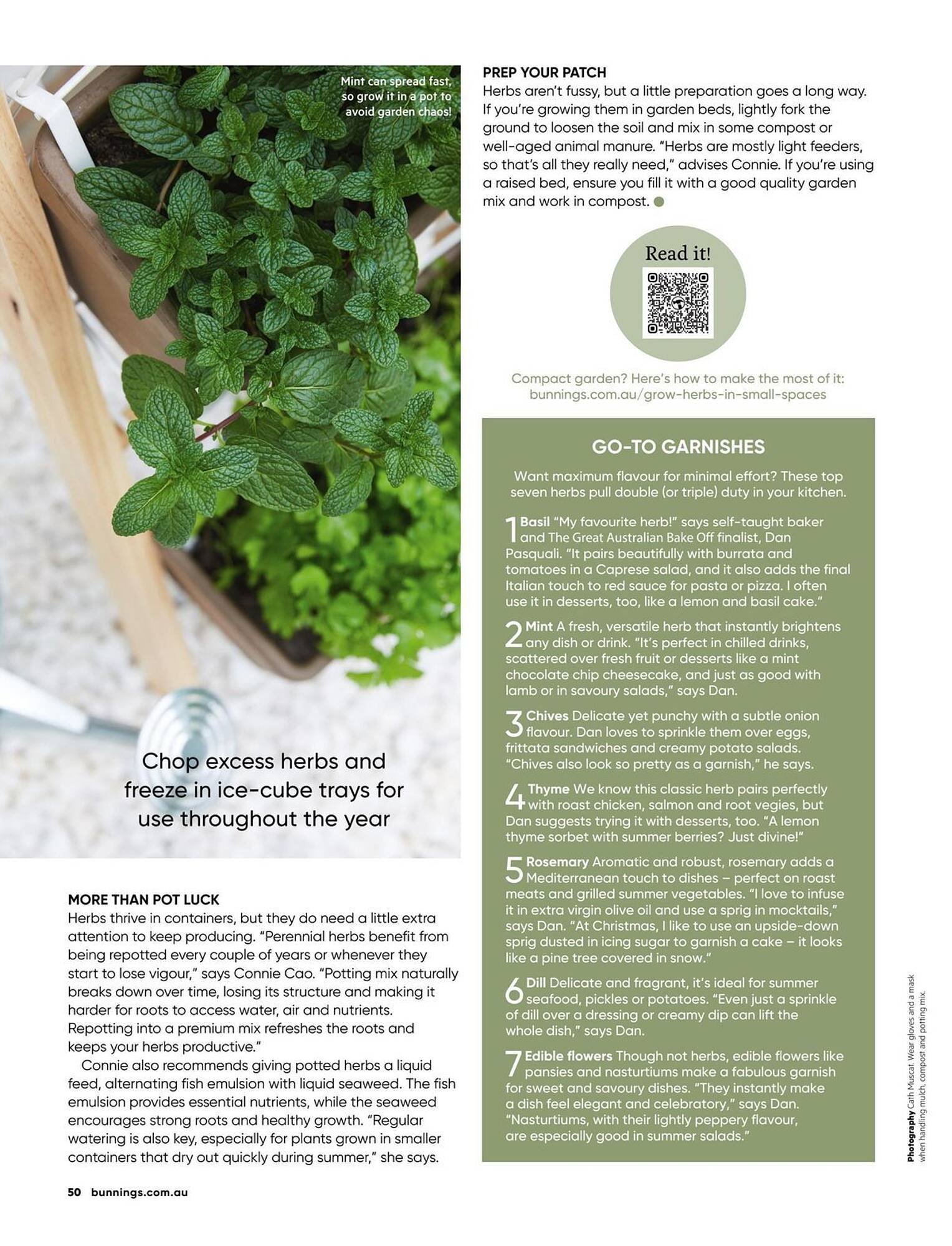 Bunnings catalogue (2025-12-01 - 2025-12-31) | 50