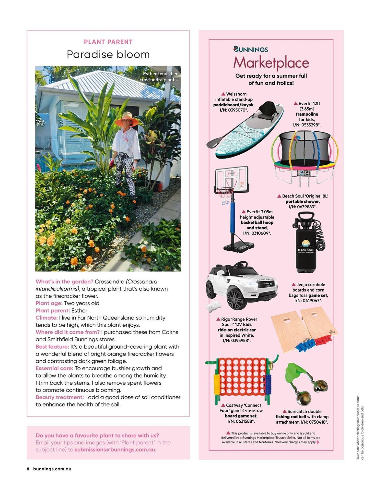 Bunnings catalogue (2025-12-01 - 2025-12-31) | 6