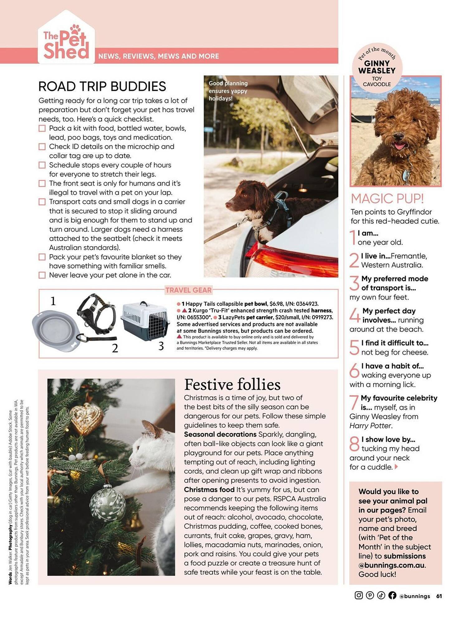 Bunnings catalogue (2025-12-01 - 2025-12-31) | 61