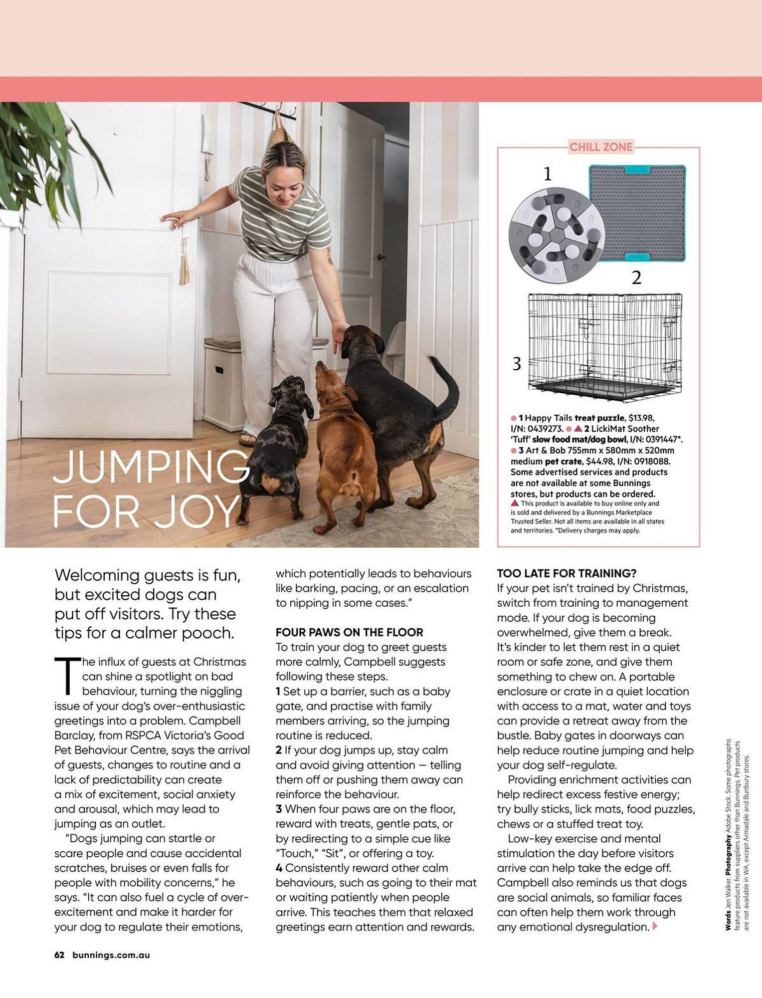 Bunnings catalogue (2025-12-01 - 2025-12-31) | 62