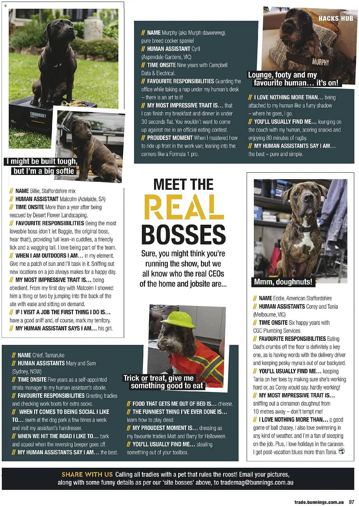 Bunnings catalogue (2025-10-31 - 2025-11-30) | 97