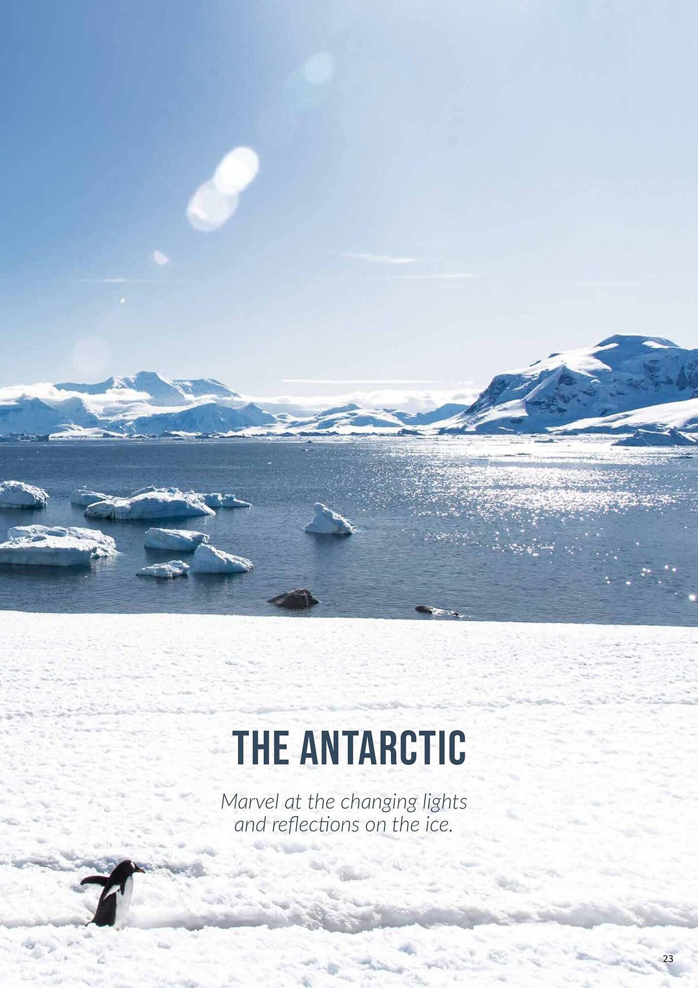 Flight Centre brochure (2025-10-22 - 2025-11-05) | 23