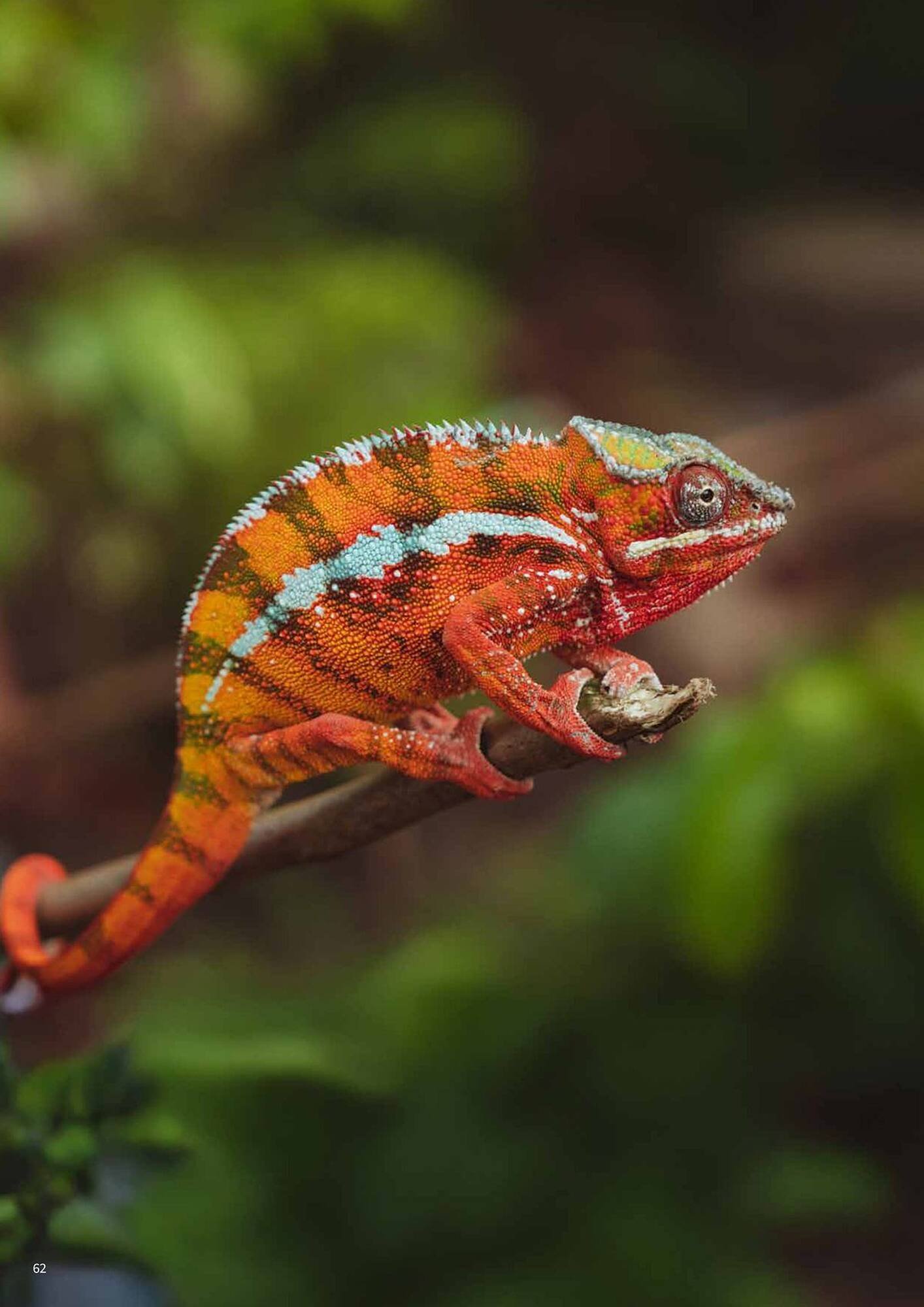 Flight Centre brochure (2025-10-22 - 2025-11-05) | 62