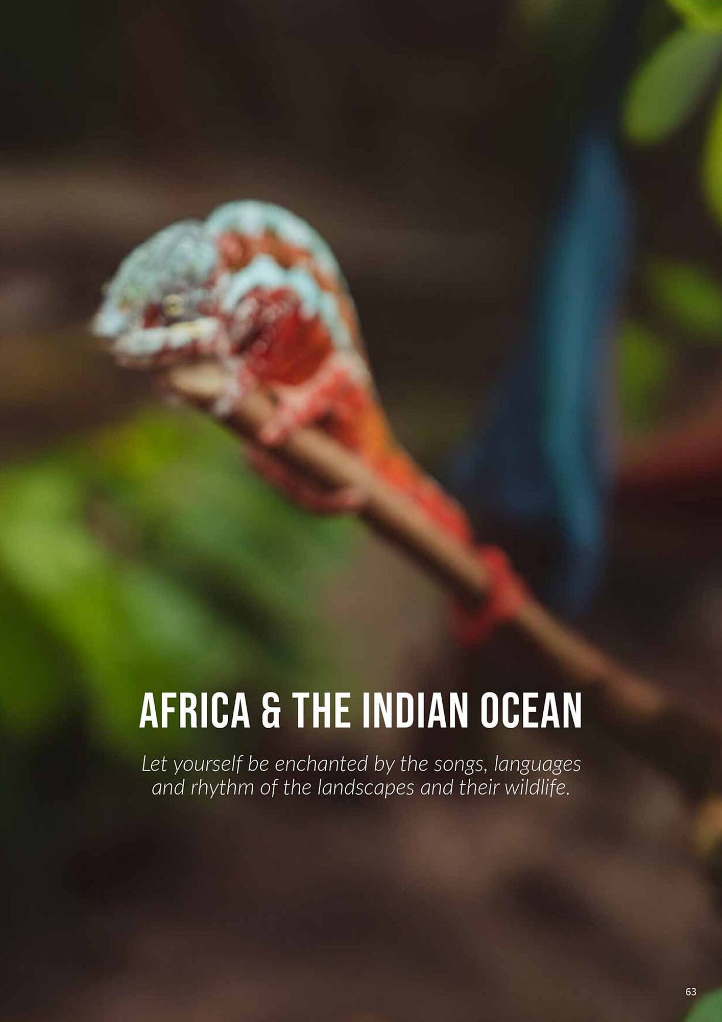 Flight Centre brochure (2025-10-22 - 2025-11-05) | 63