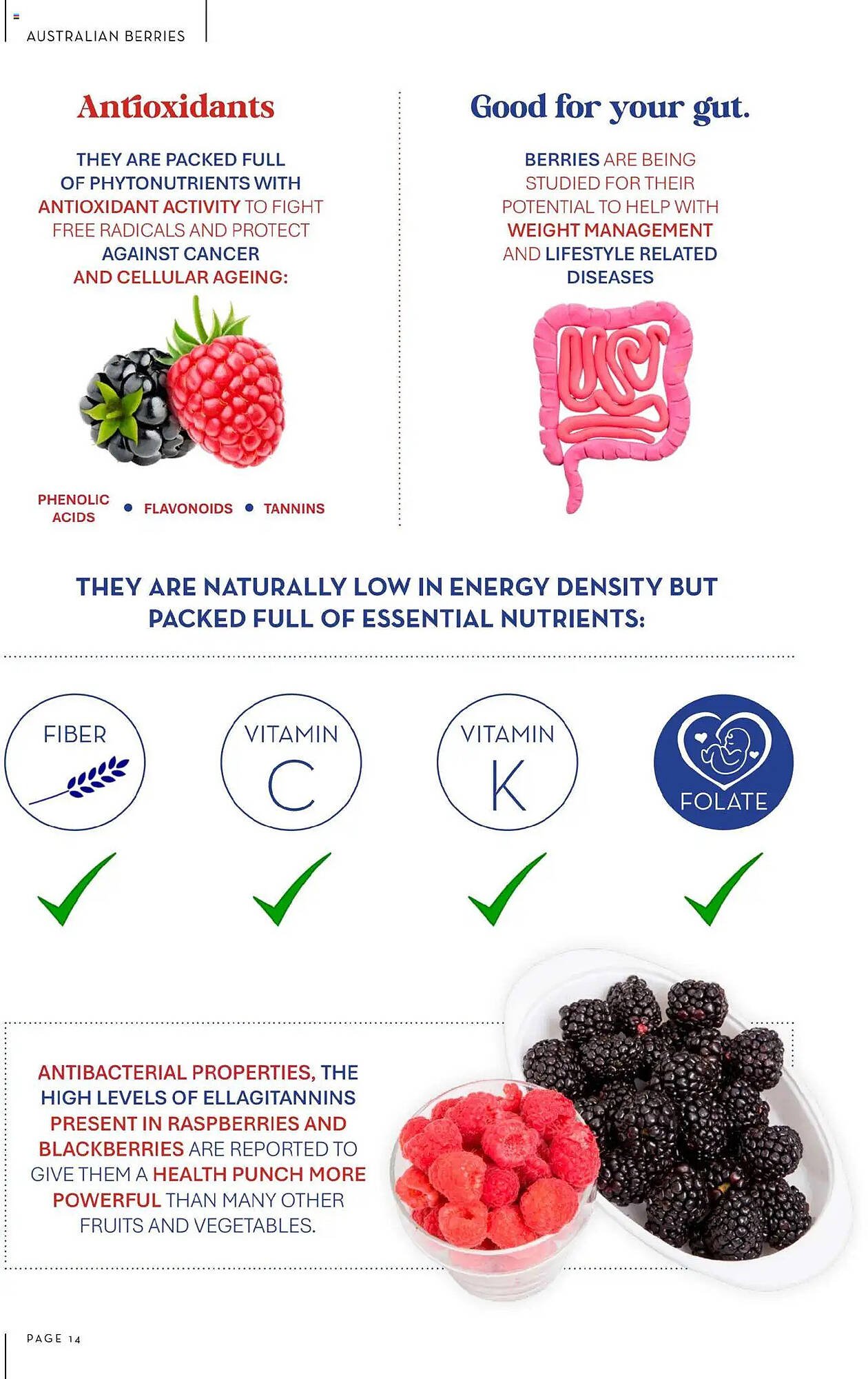 Drakes catalogue (2025-10-01 - 2025-11-30) | 14