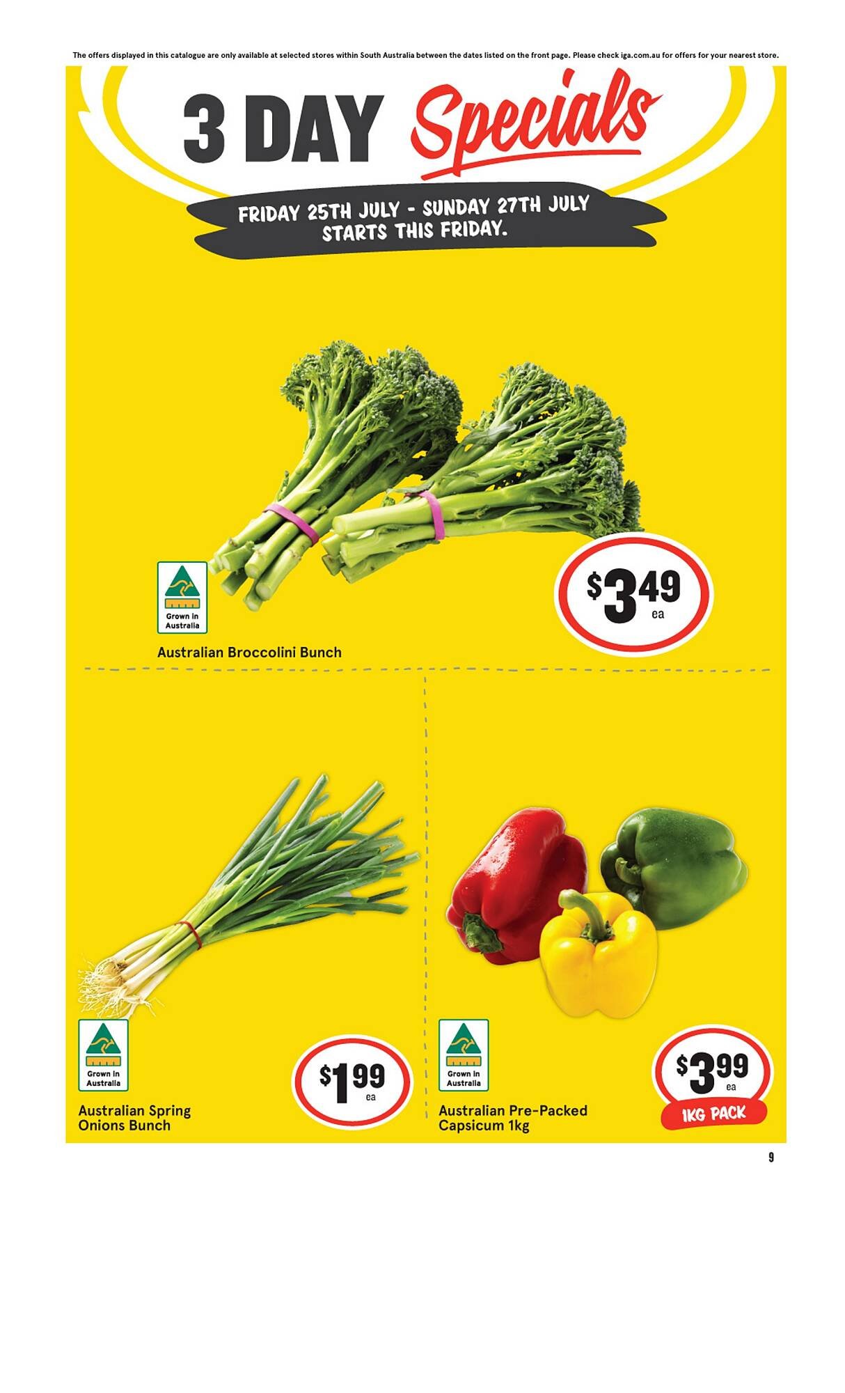 IGA catalogue (2025-07-25 - 2025-07-27) | 1
