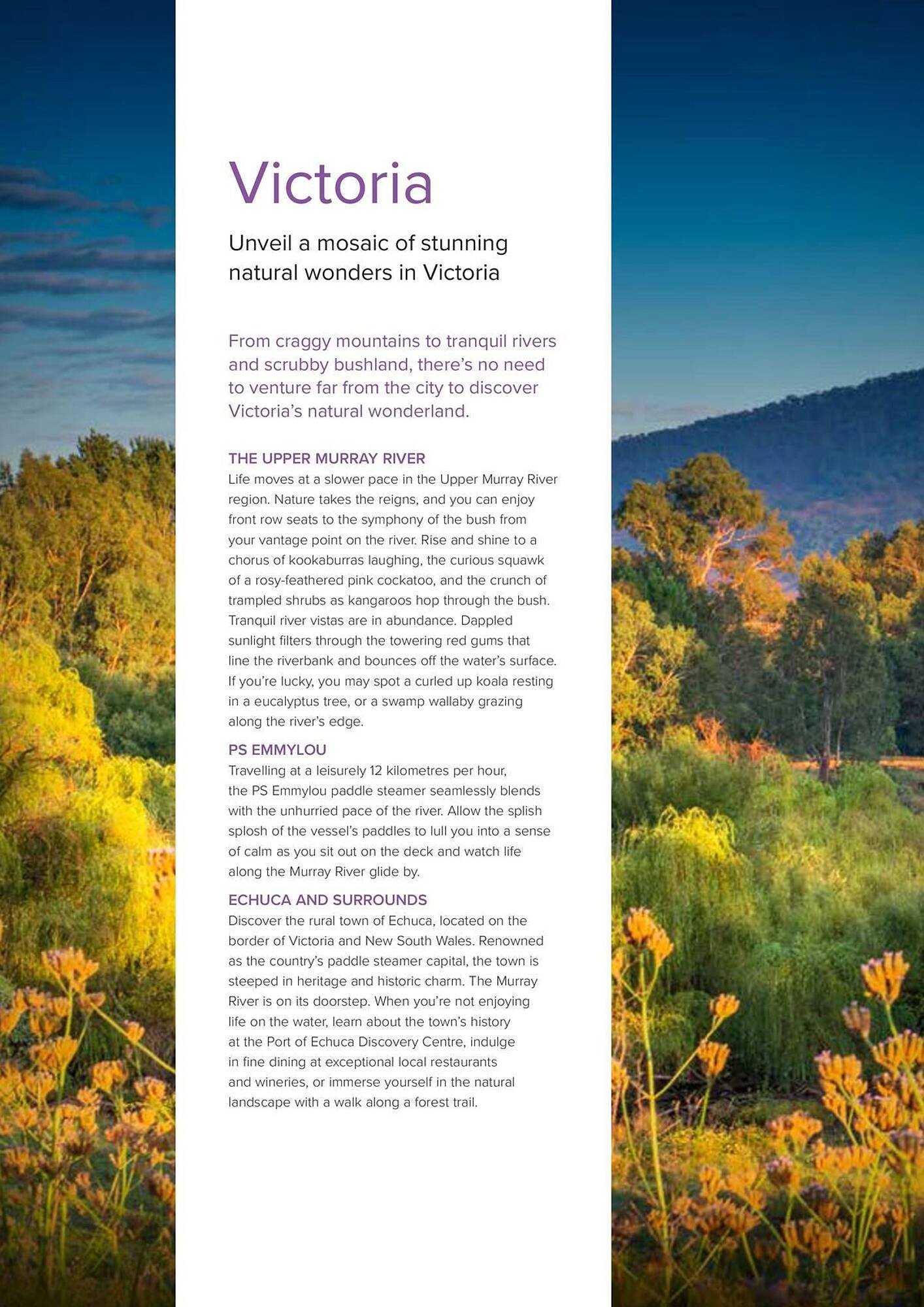 Flight Centre brochure (2025-09-10 - 2026-12-31)