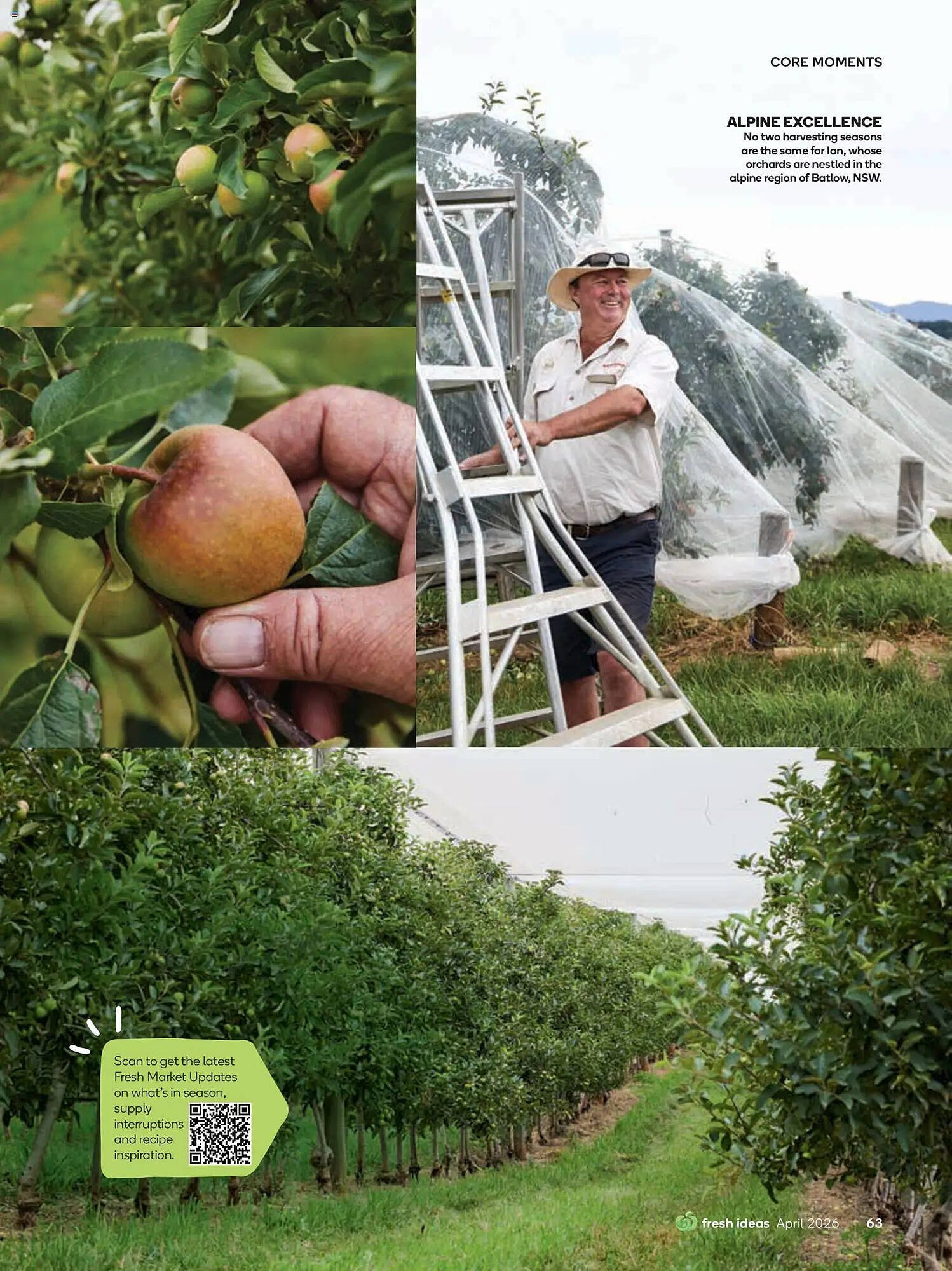 Woolworths catalogue (2026-03-31 - 2026-04-30) | 63