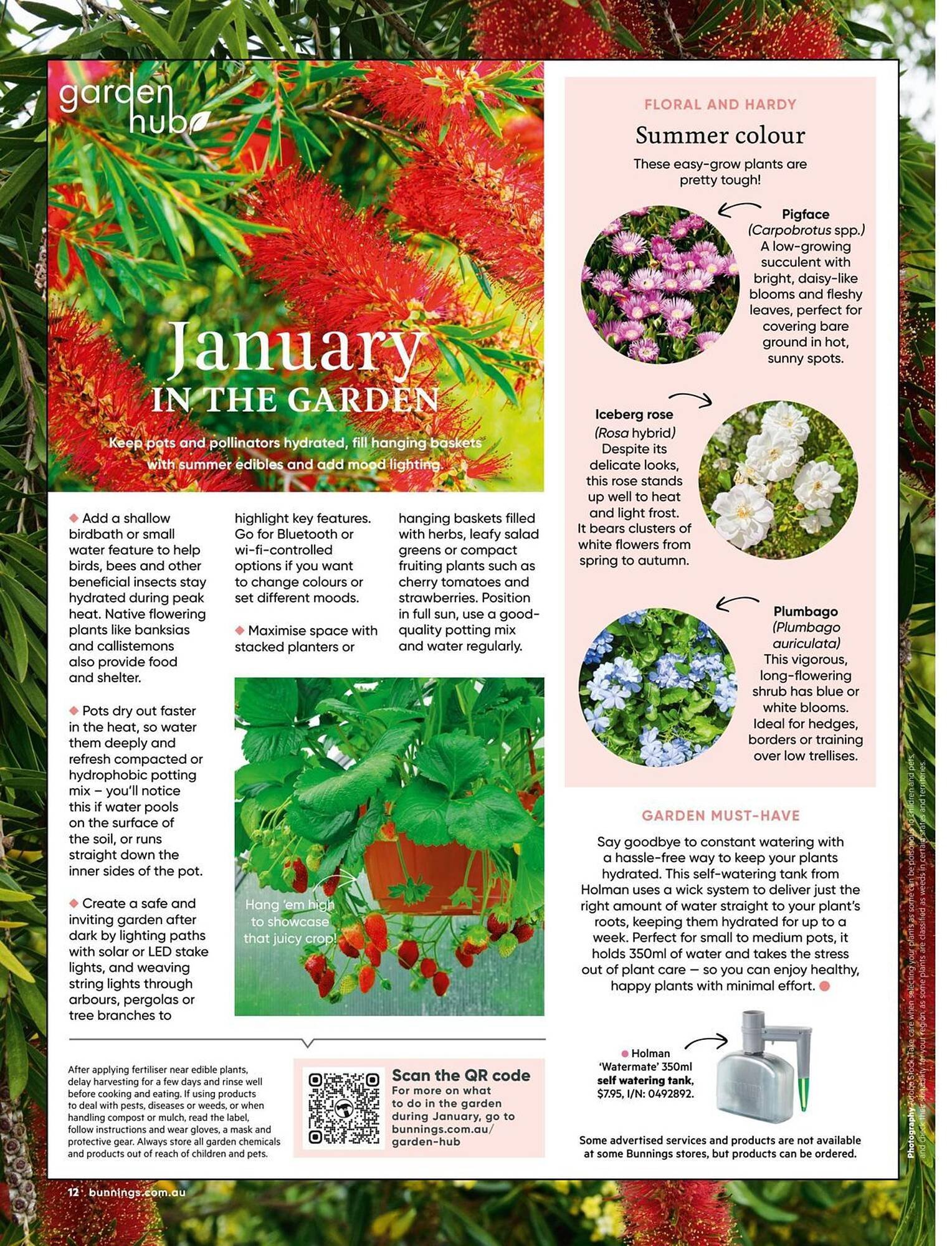 Bunnings catalogue (2026-01-01 - 2026-01-31) | 12