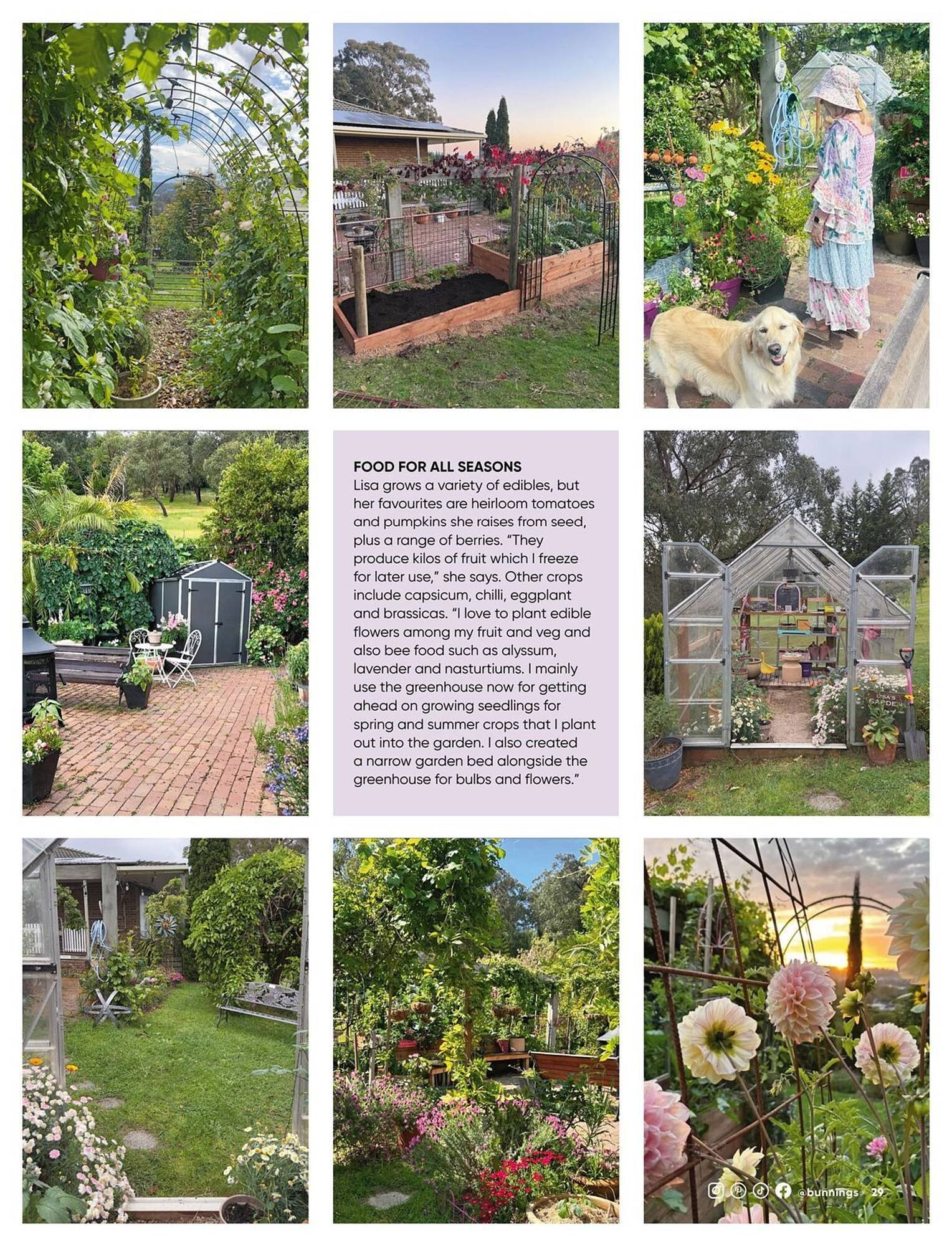 Bunnings catalogue (2026-01-01 - 2026-01-31) | 29