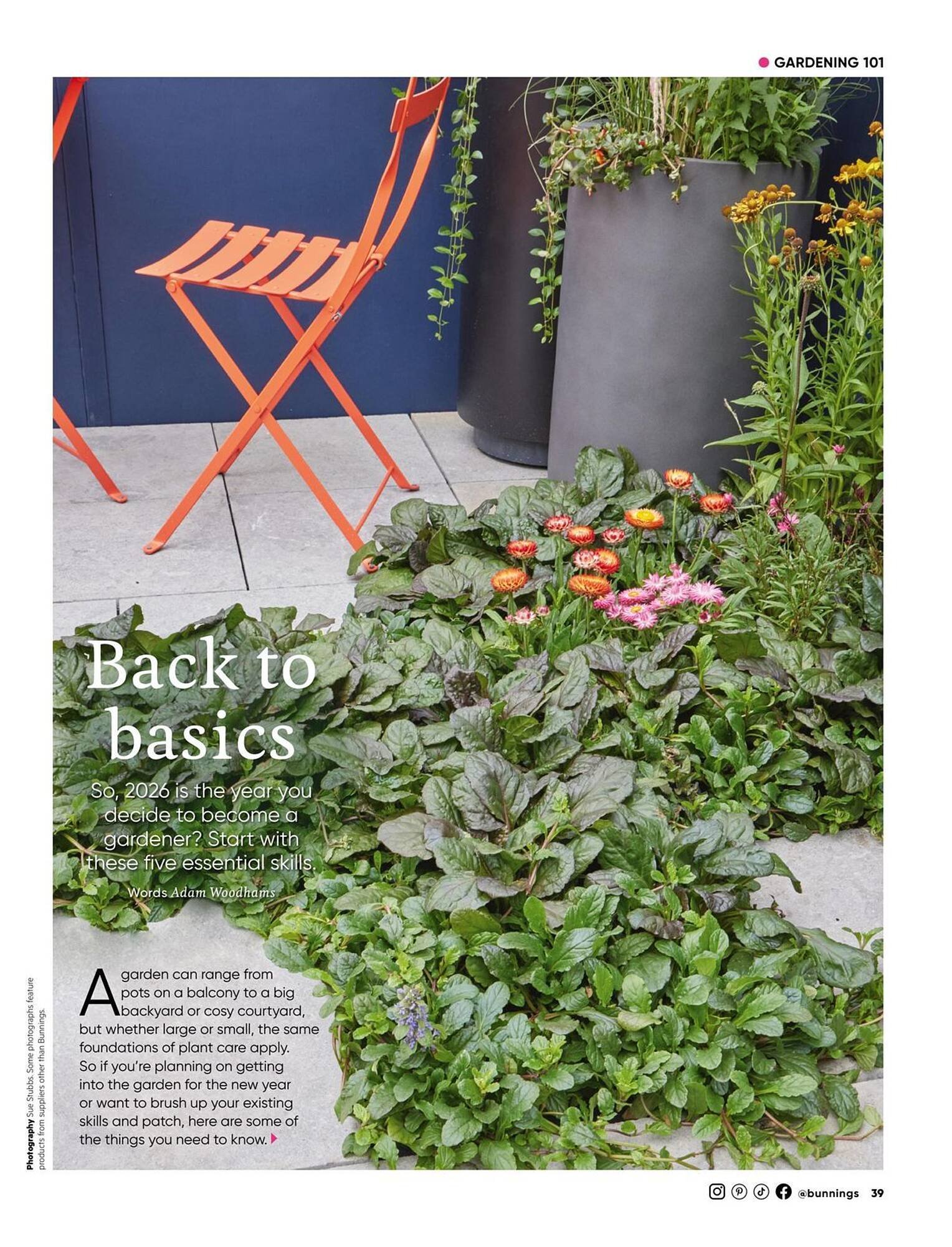 Bunnings catalogue (2026-01-01 - 2026-01-31) | 39