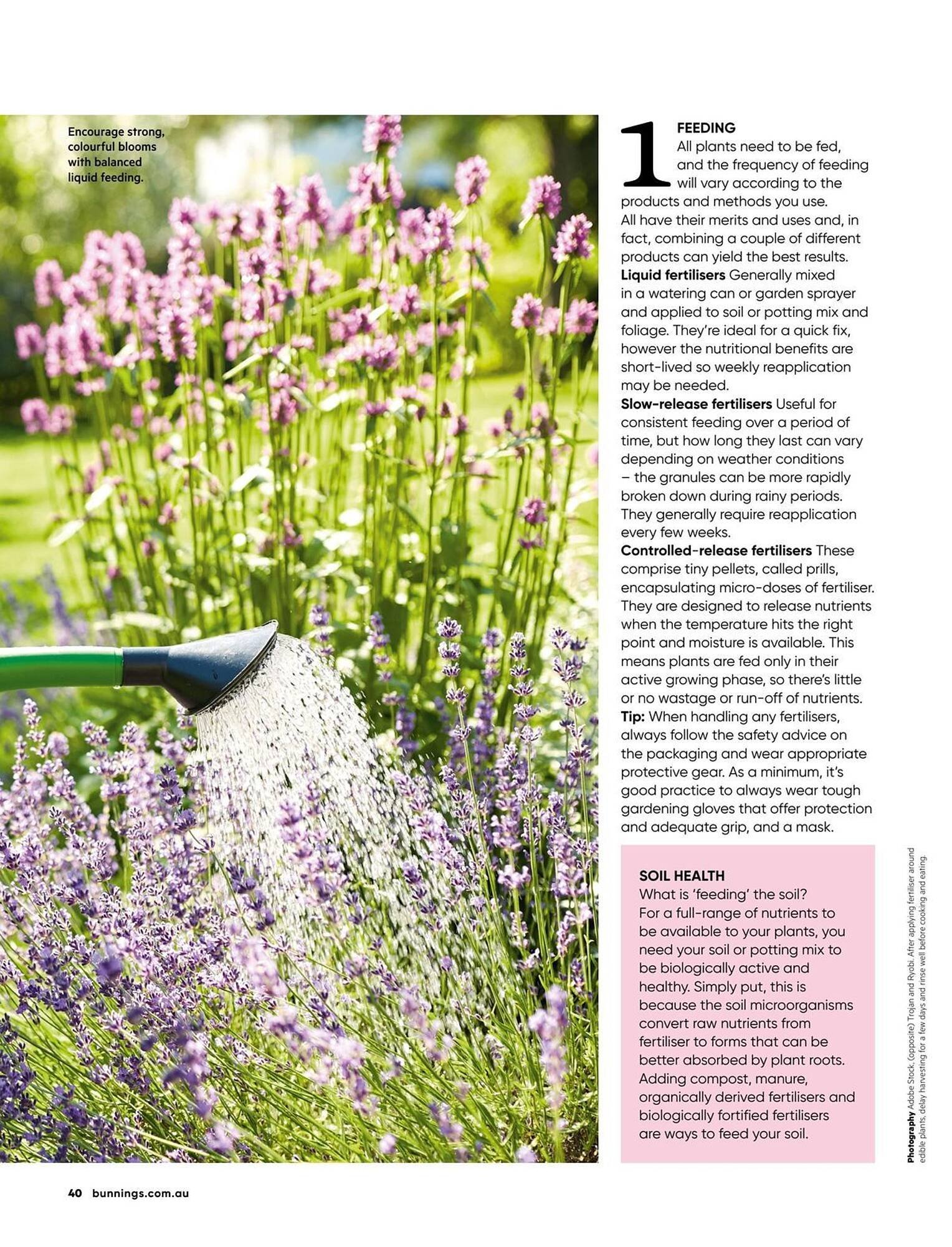 Bunnings catalogue (2026-01-01 - 2026-01-31) | 40