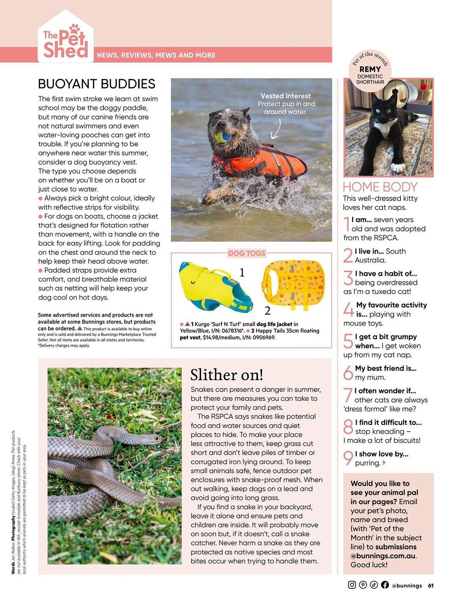 Bunnings catalogue (2026-01-01 - 2026-01-31) | 61