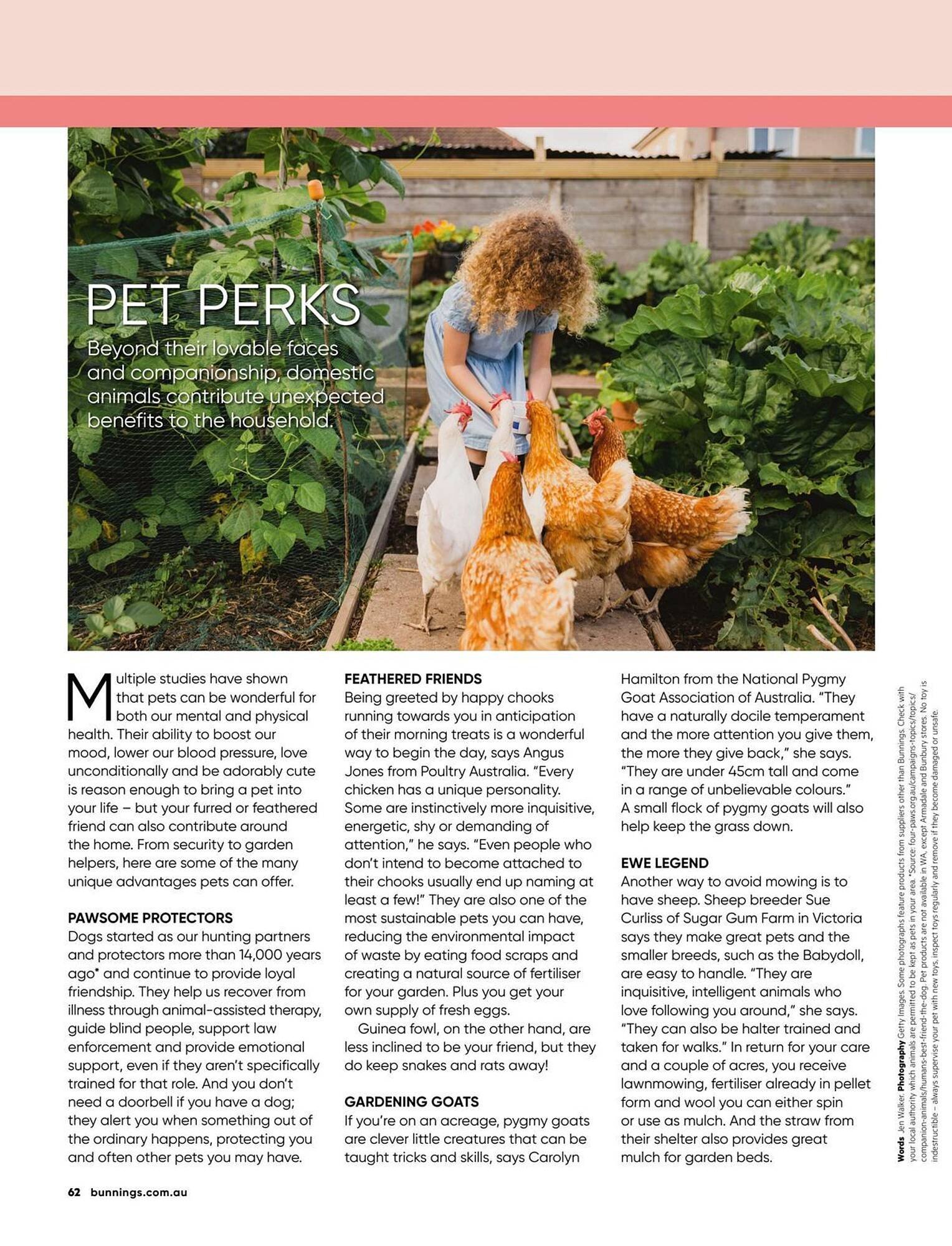 Bunnings catalogue (2026-01-01 - 2026-01-31) | 62