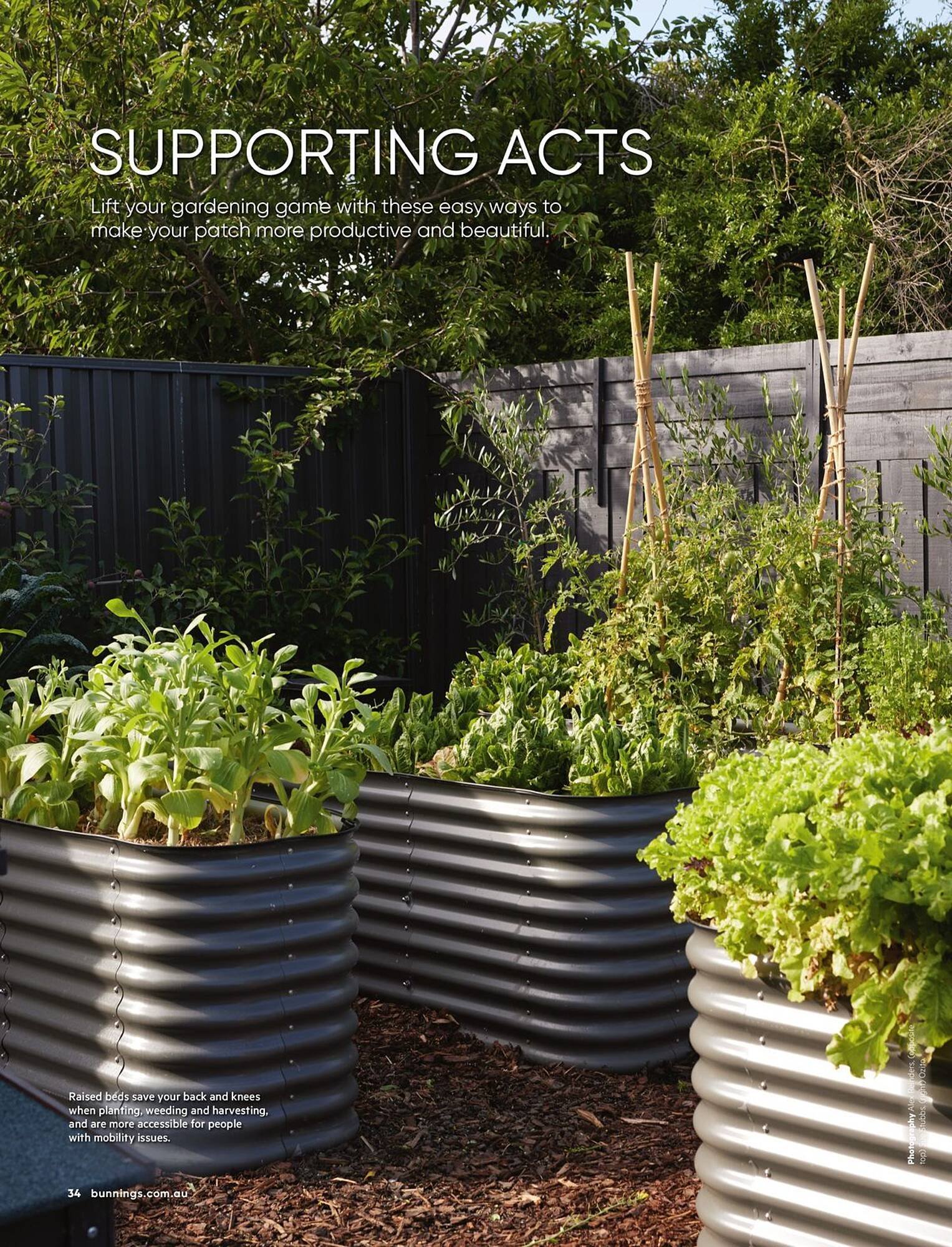 Bunnings catalogue (2026-04-01 - 2026-04-30) | 34