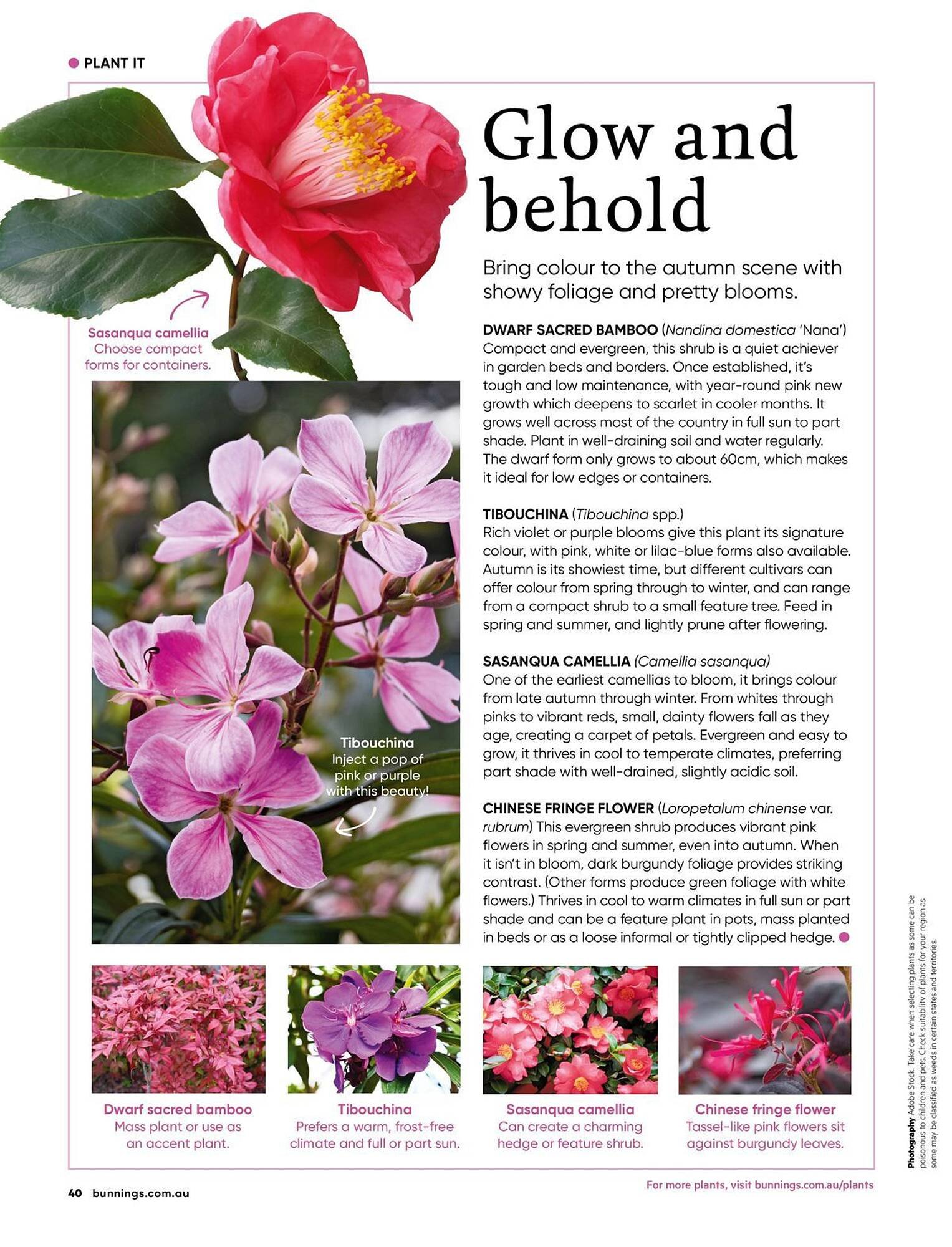 Bunnings catalogue (2026-04-01 - 2026-04-30) | 40