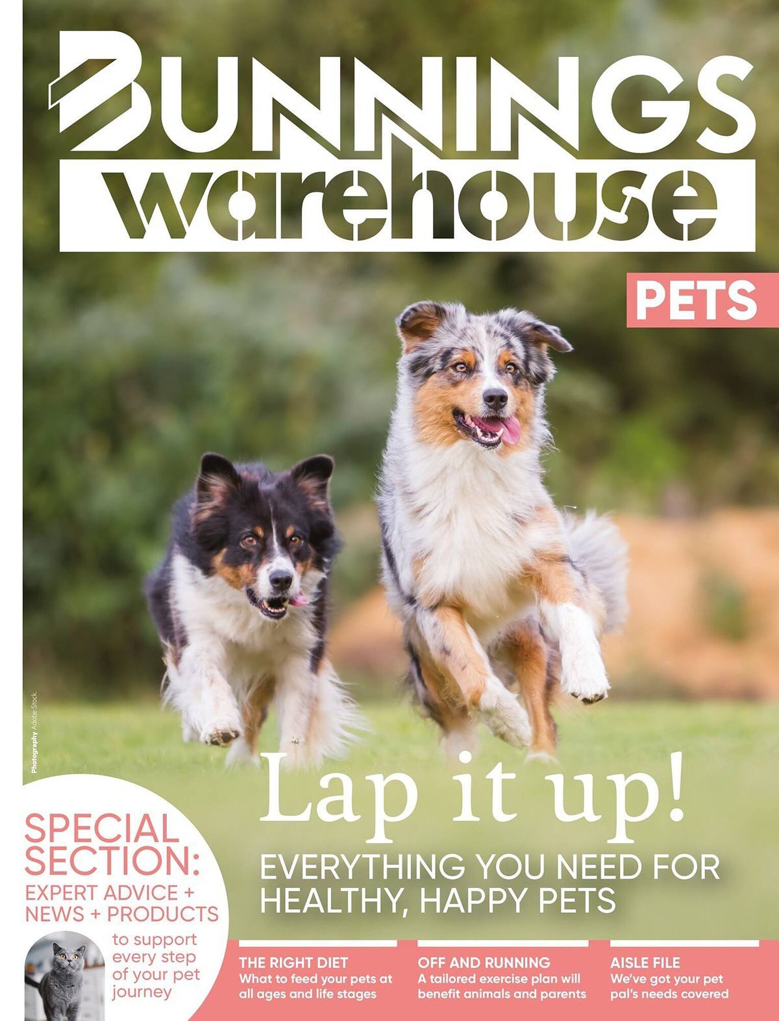 Bunnings catalogue (2026-04-01 - 2026-04-30) | 53